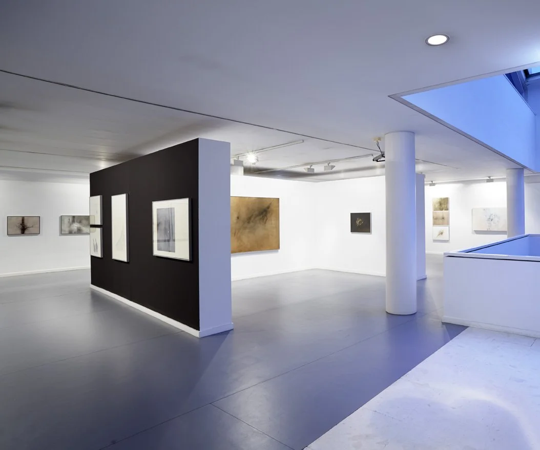 ORGANICIDAD Museo Barjola, Gijón.  Foto: Marcos Morilla