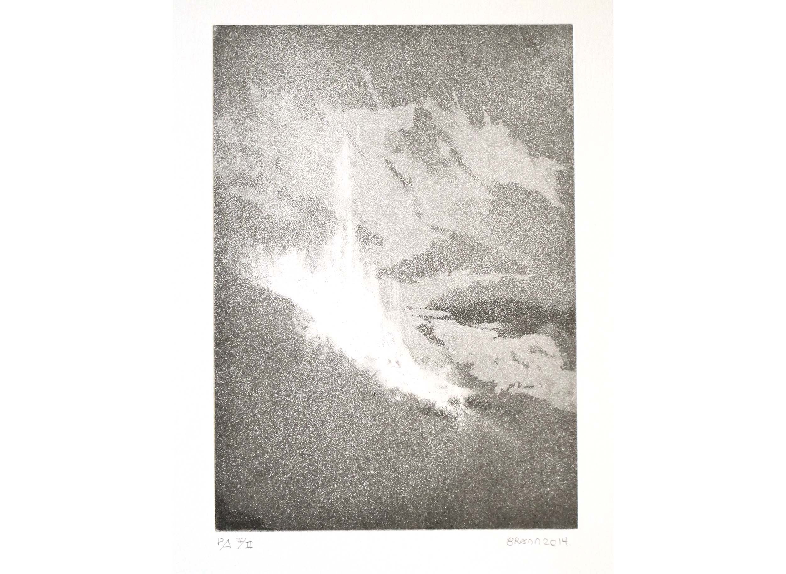 2014 Gronn 39x28 cm Akvatint