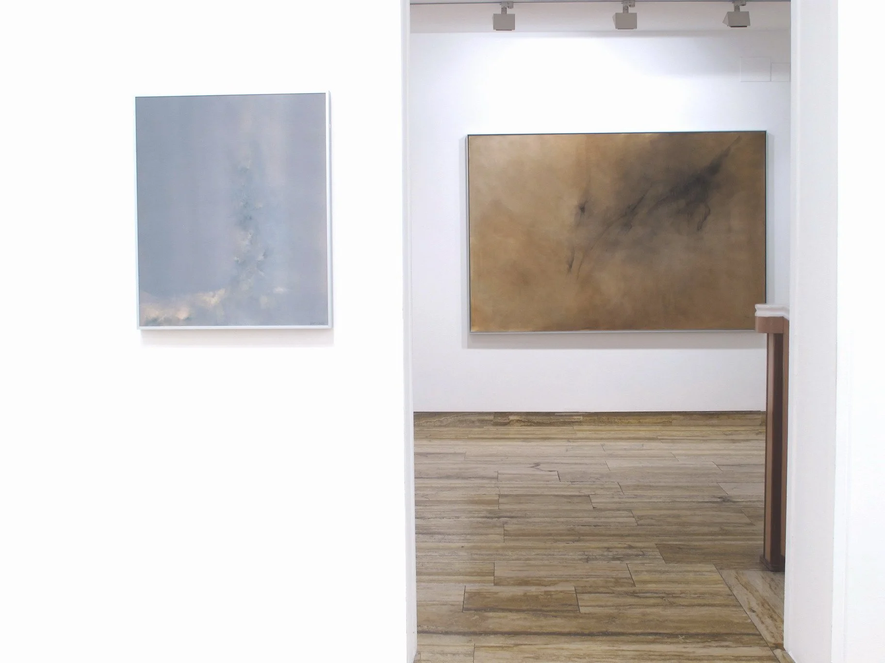 ORGANICIDAD Ángeles Penche Espacio de Arte, Madrid. Foto: Ana Muller Lasa