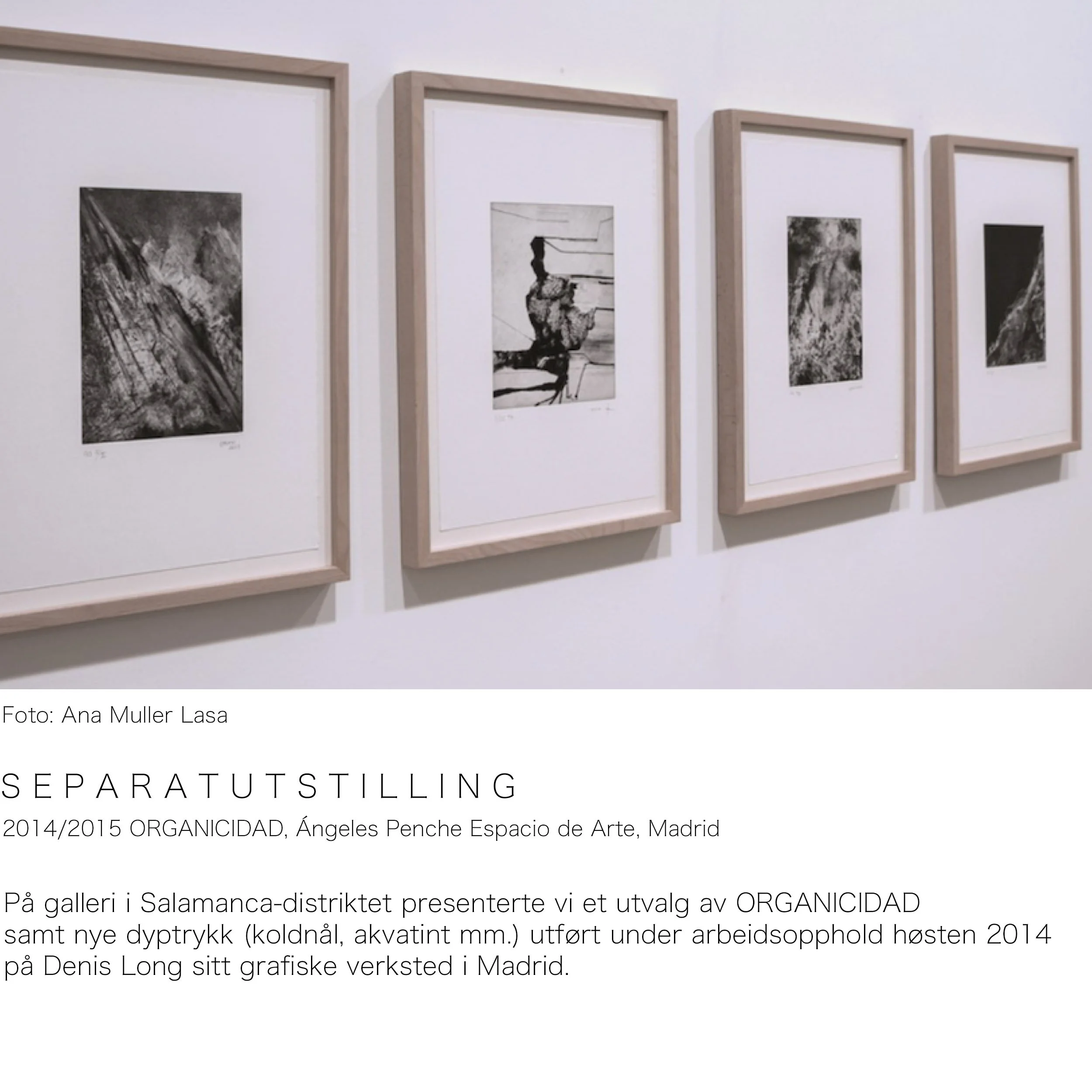 CV Web Angeles Penche.jpg