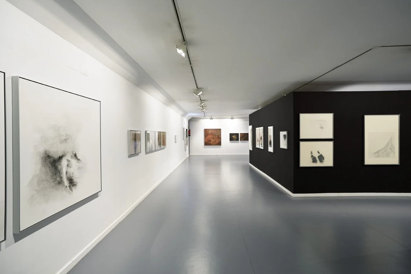 ORGANICIDAD Museo Barjola, Gijón Foto: Marcos Morilla