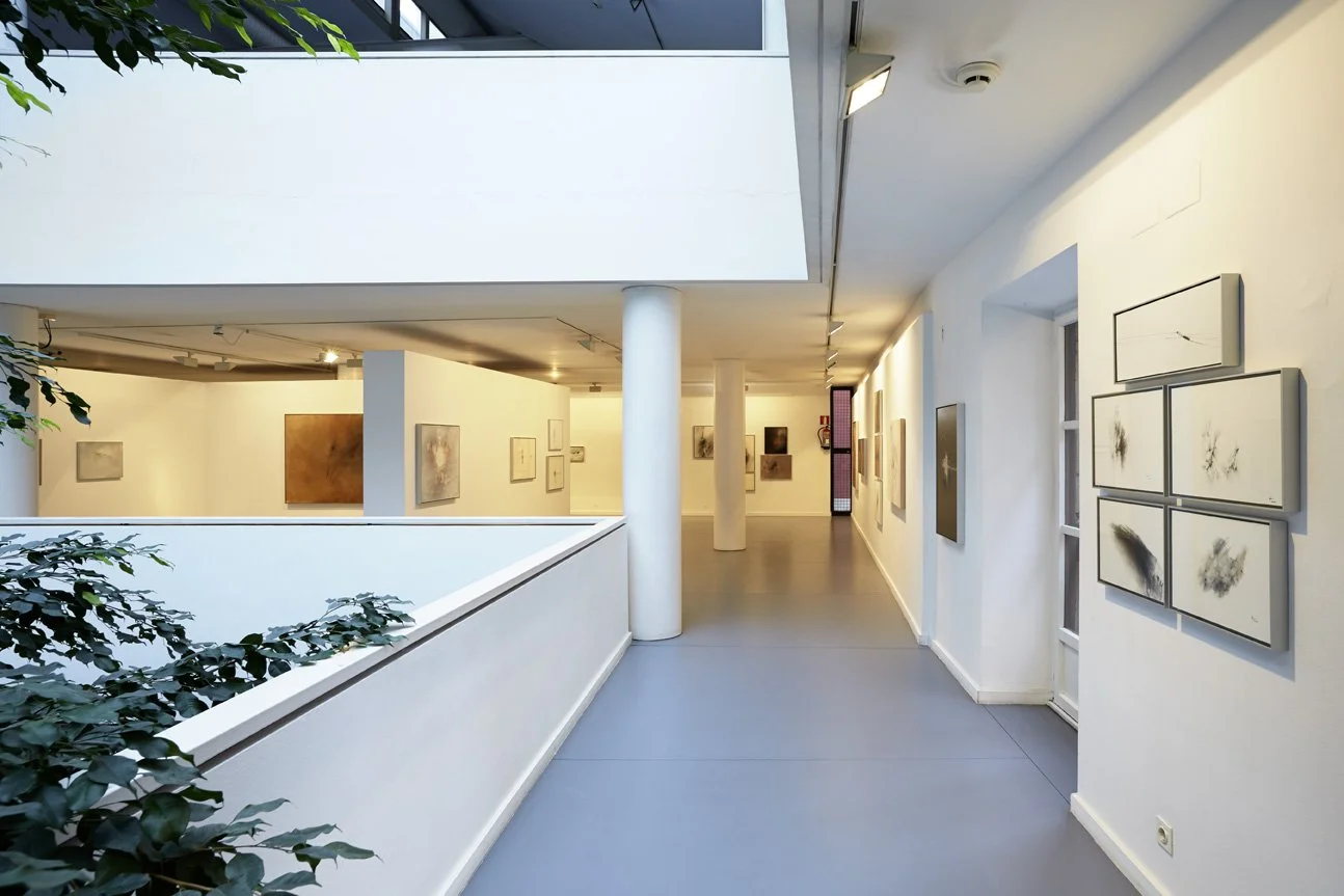 ORGANICIDAD Museo Barjola, Gijón.  Foto: Marcos Morilla