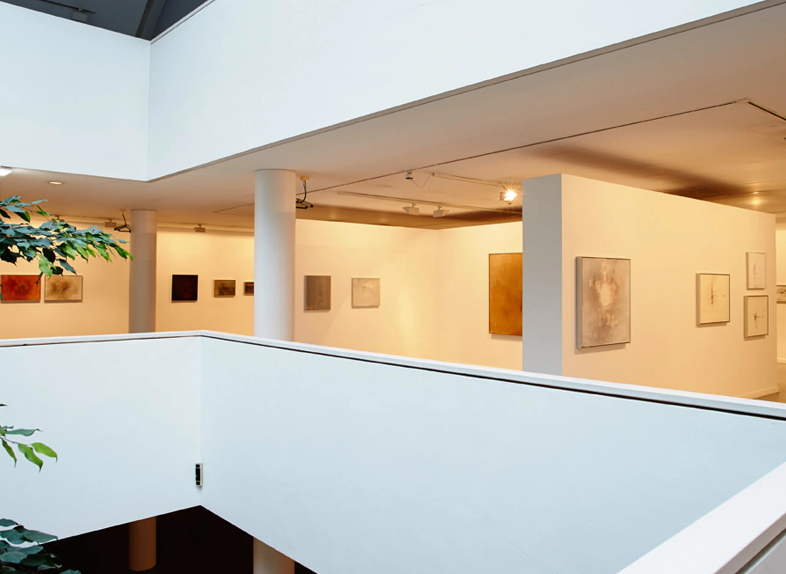 ORGANICIDAD Museo Barjola, Gijón.  Foto: Marcos Morilla