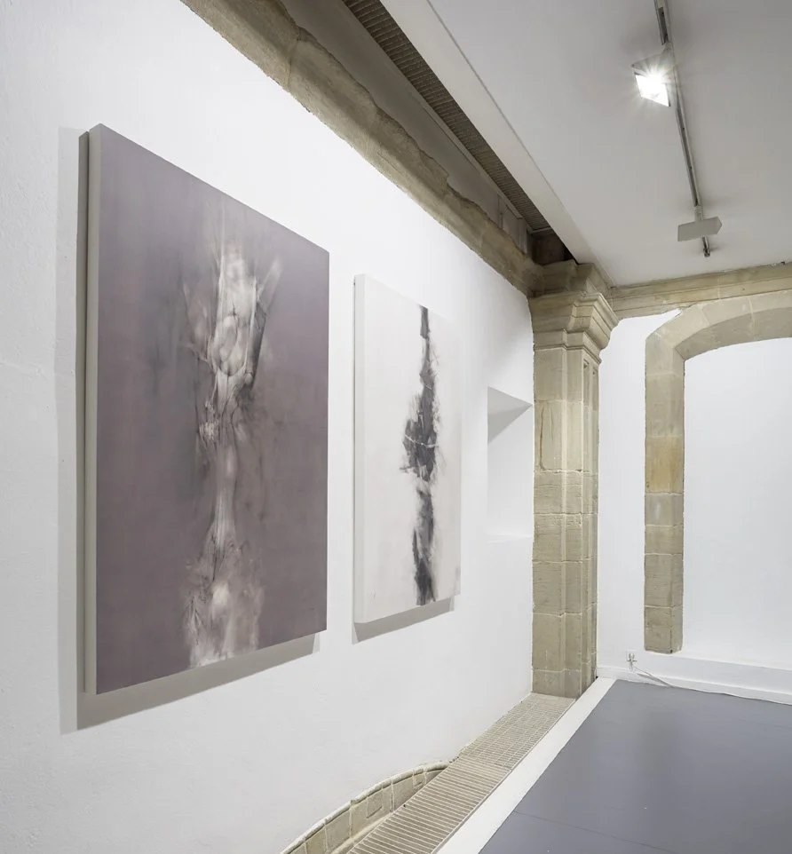 ORGANICIDAD Museo Barjola, Gijón.  Foto: Marcos Morilla