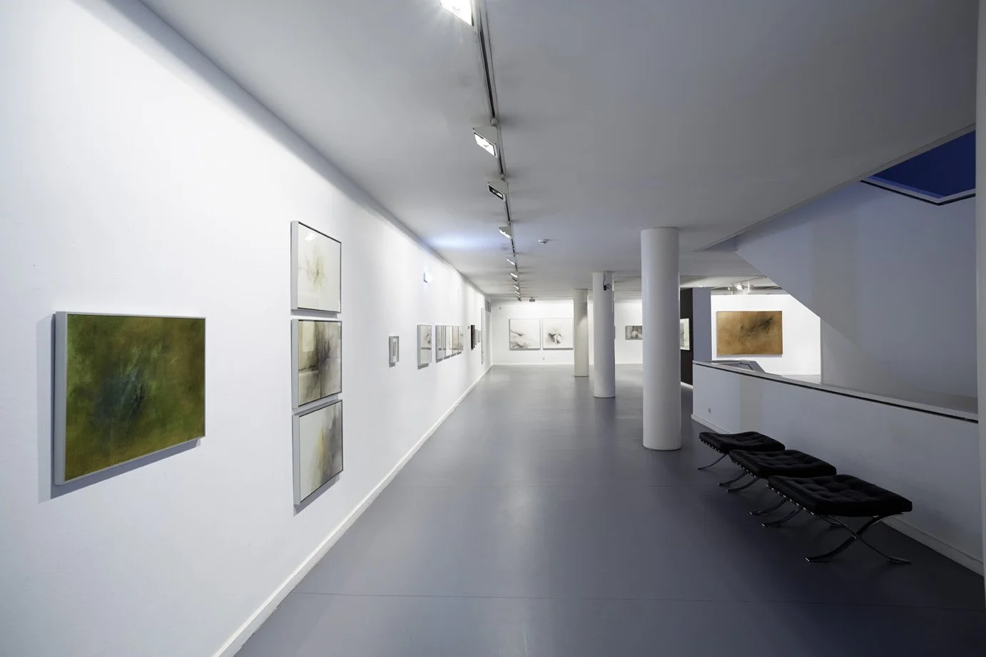 ORGANICIDAD Museo Barjola, Gijón.  Foto: Marcos Morilla