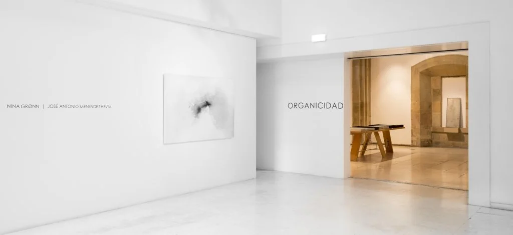 ORGANICIDAD Museo Barjola, Gijón.  Foto: Fernándo González