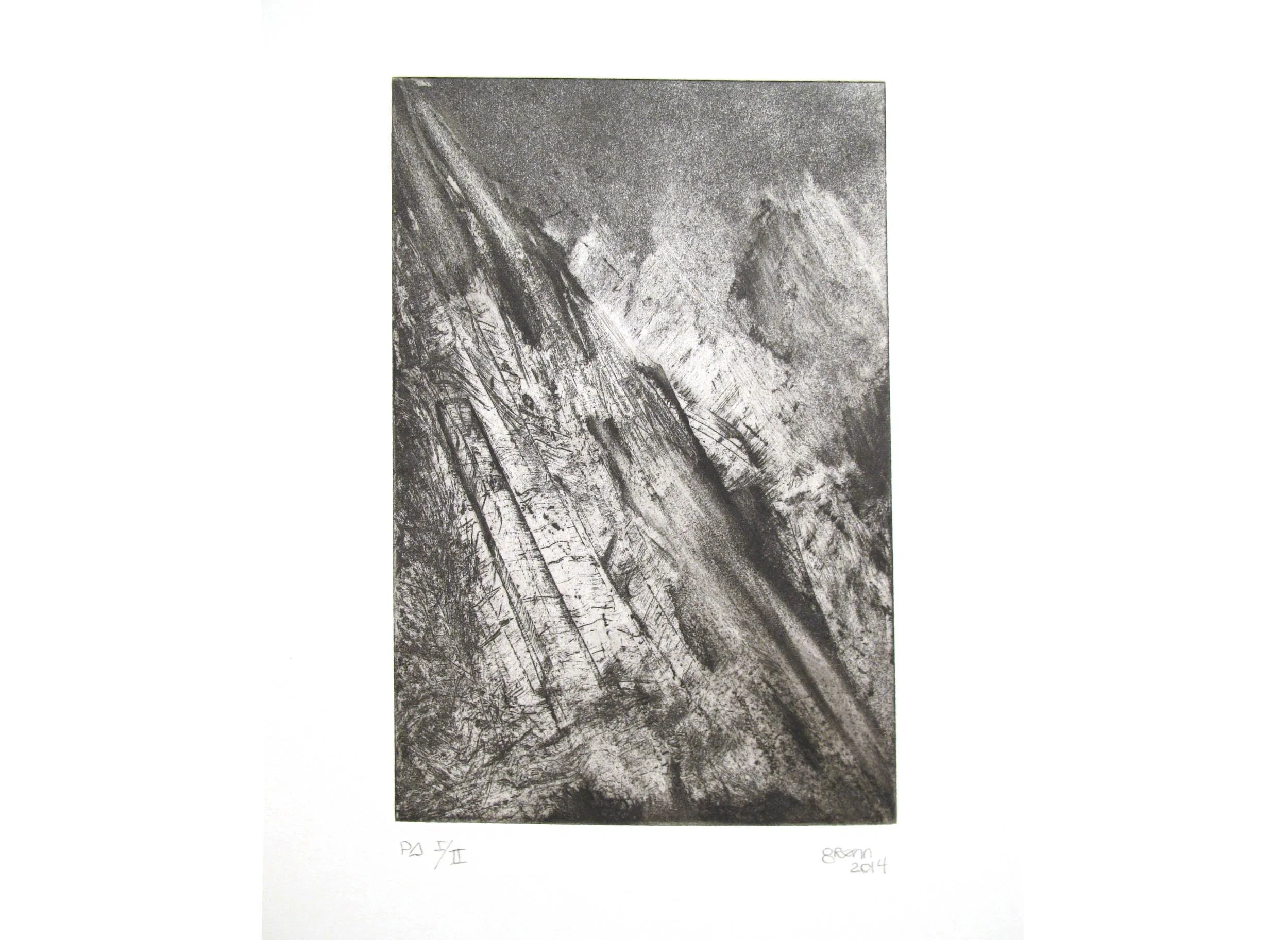 2014 Gronn 45,5x34 cm Akvatint