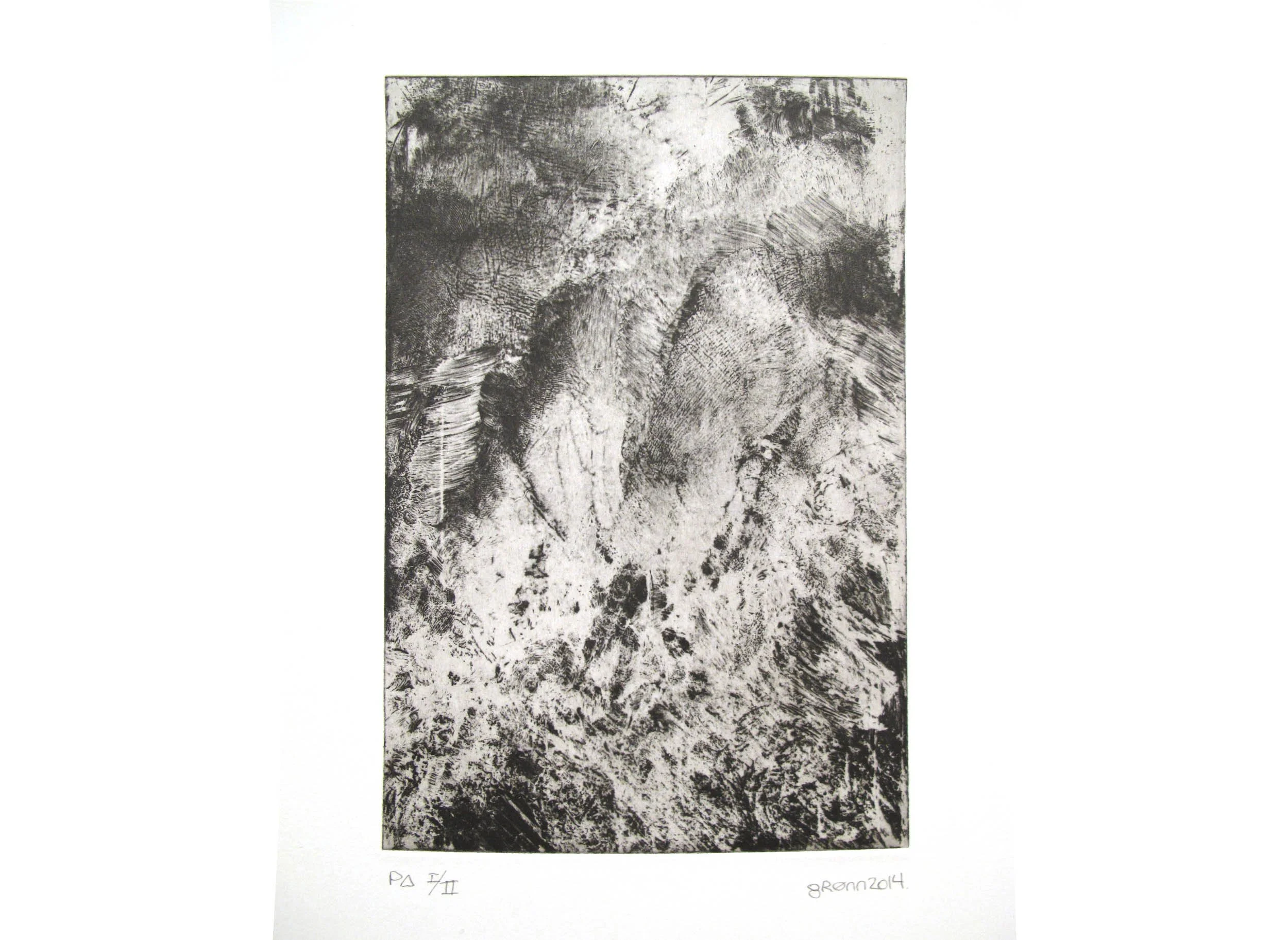 2014 Gronn 45,5x34 cm Akvatint