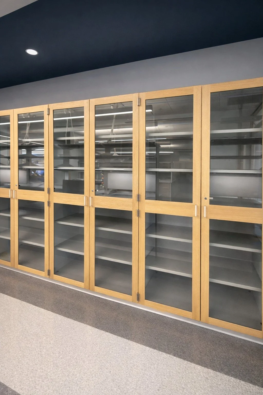 NYU Langone Health Skirball Building - NY, NY