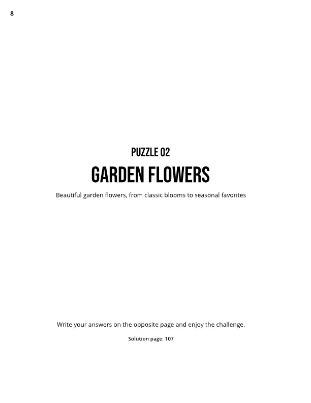 braineo-word-scramble-50-themed-puzzles-page09.webp