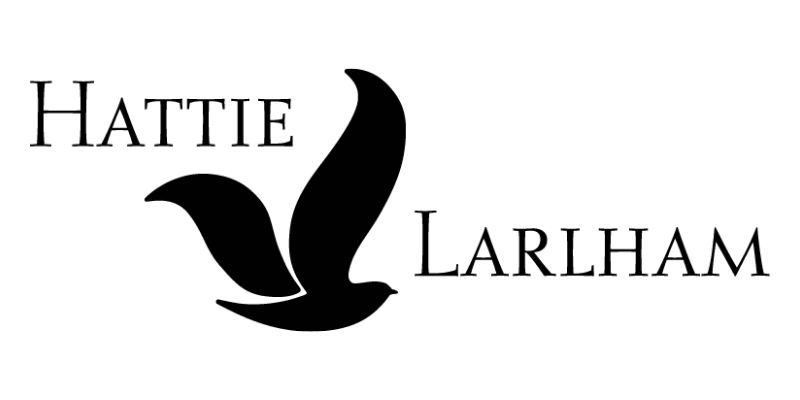 Excel at Hattie Larlham, Middleburg Heights