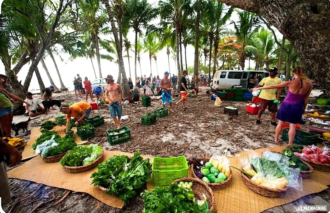 The Weekly Market of Santa Teresa, Nicoya 