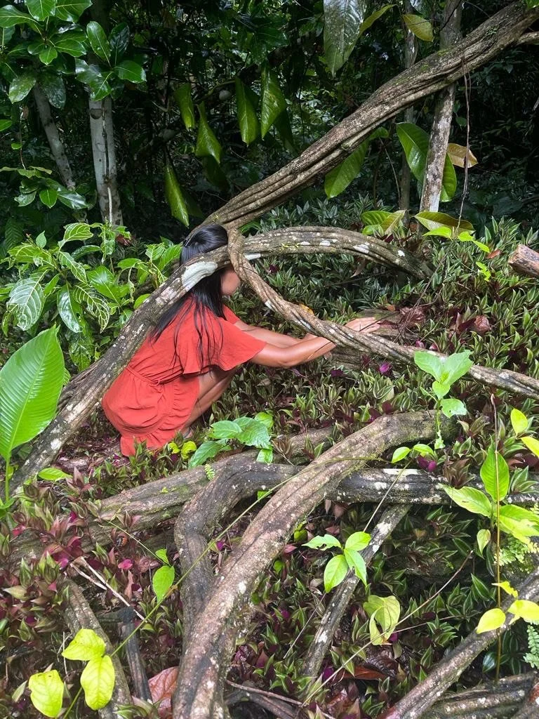 It has been exactly 3 years ago that I did ayahuasca for the first time.

This was one of the best decisions in my personal mental health journey.

After two years of acceptance therapy, which was helpful, I felt I was stuck in the mind and repeating