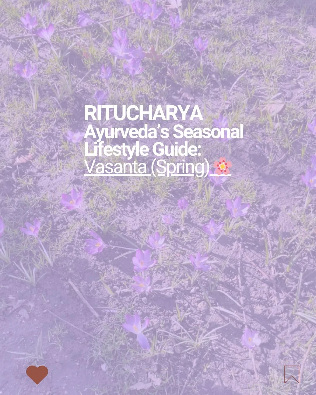 Spring isn&rsquo;t just blooming outside, it&rsquo;s unfolding within you 🌱

In Ayurveda, this season is known as Vasanta Ritu, a time to gently detox, lighten the body, and rekindle your digestive fire 🔥

As nature awakens, so can you.
This is you