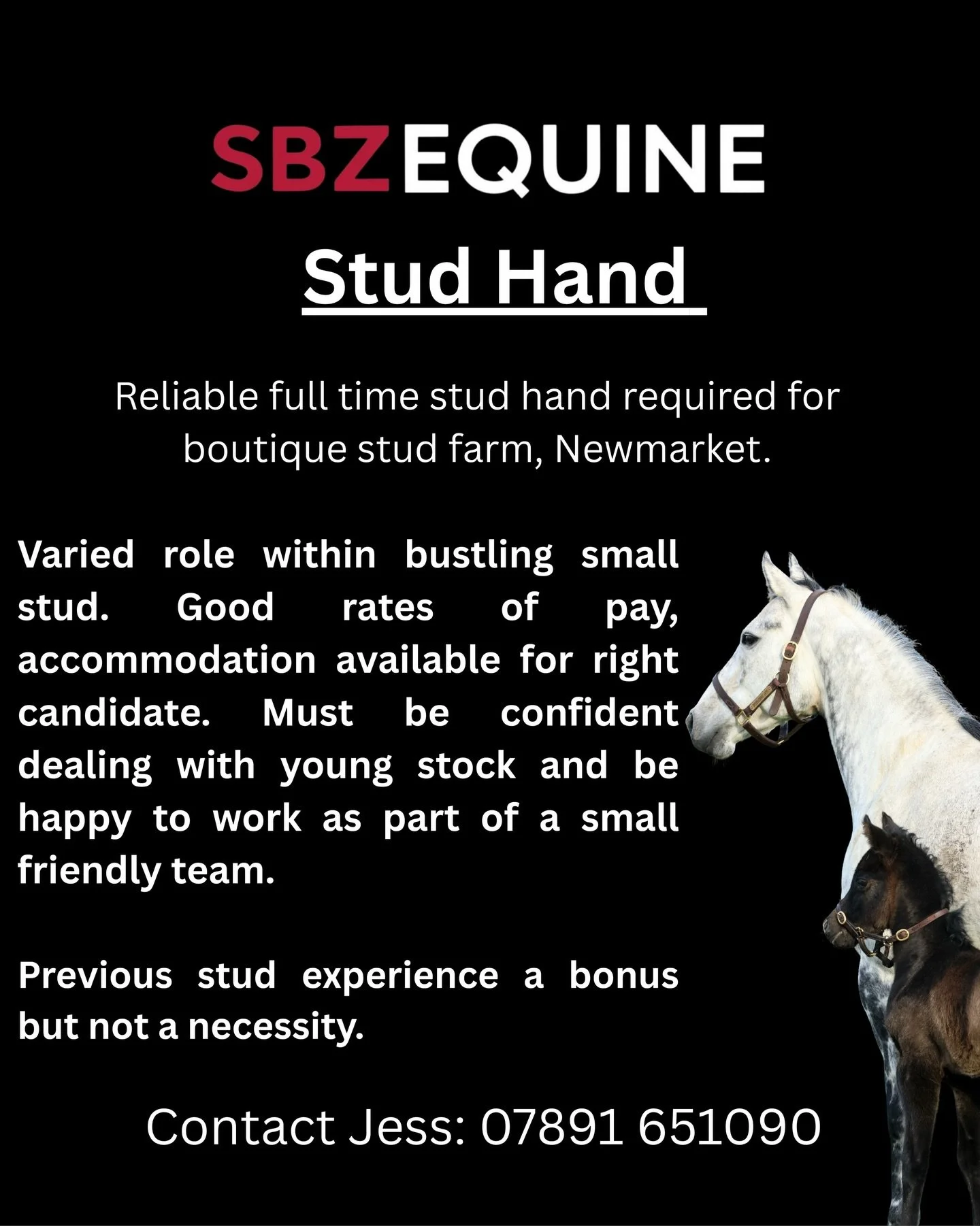 🌟 Job Vacancy 🌟

#sbzequine #egertonstud #jobvacancy