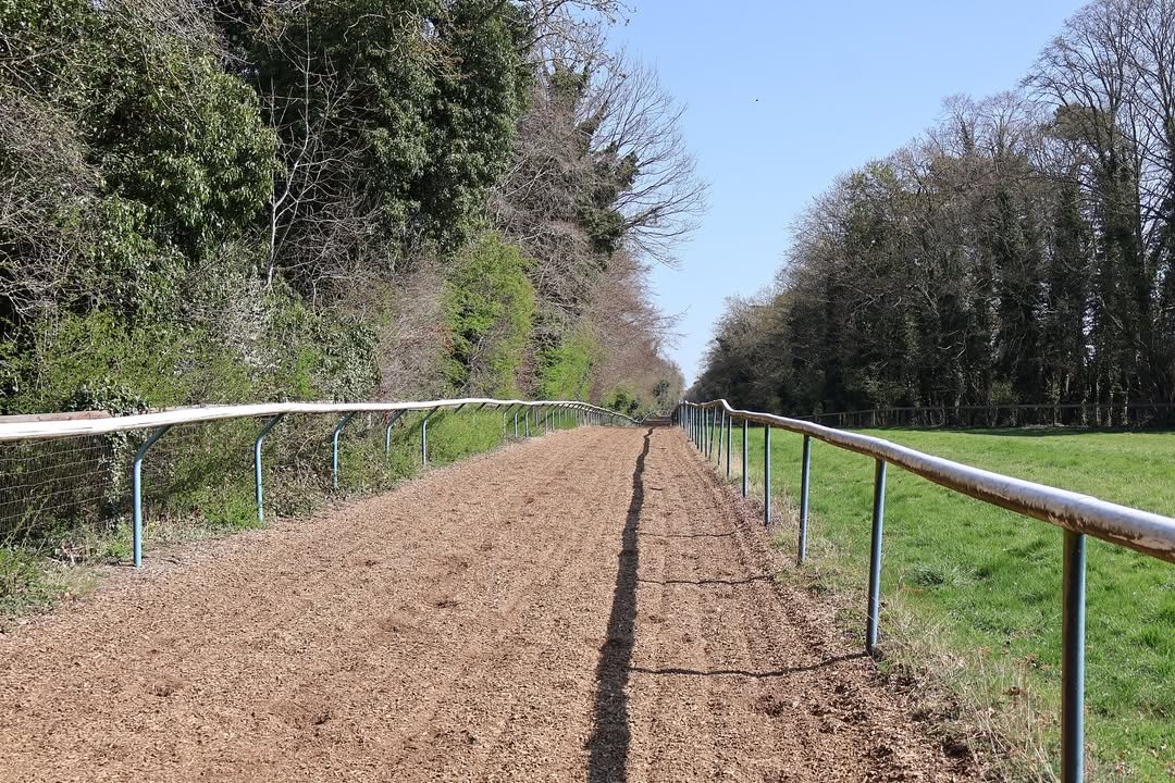 7.5f woodchip gallop