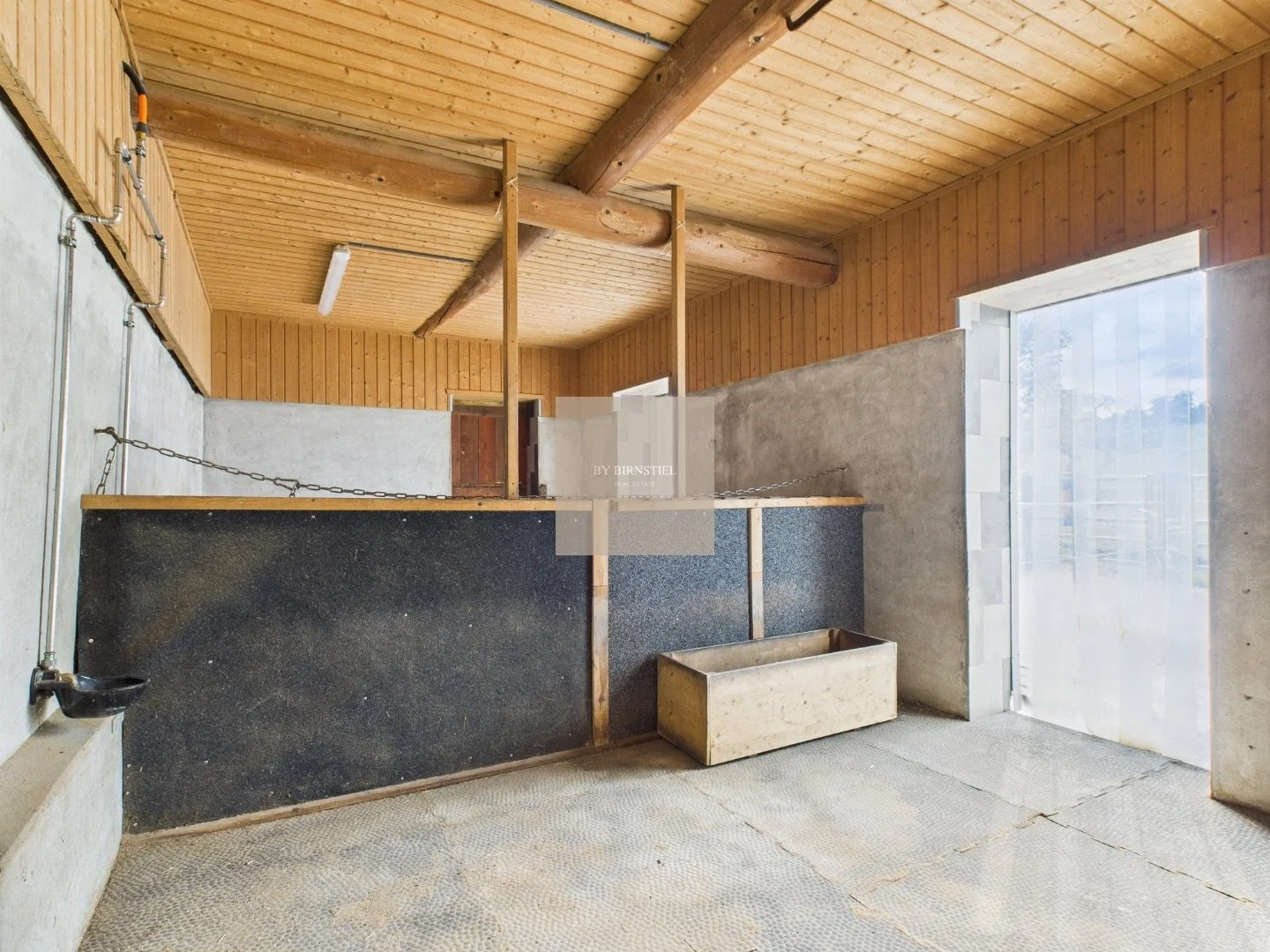 Innenansicht der zwei Pferdeboxen mit Holzwänden und direktem Auslauf.