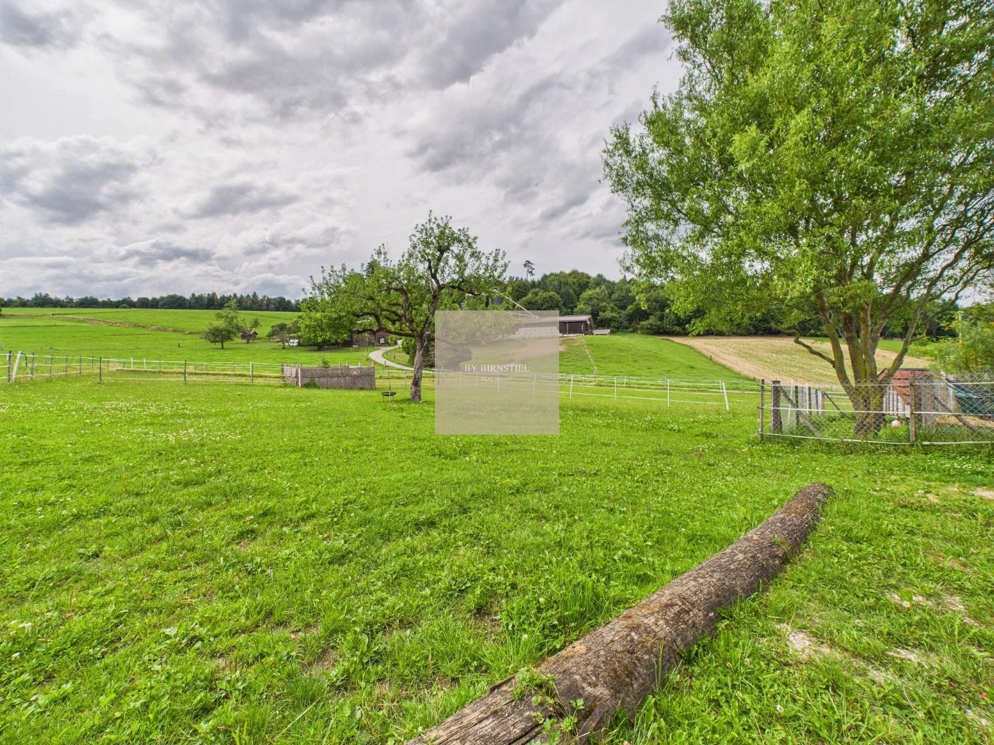 Blick über die ca. 20 Aren grünes Weideland für die Pferdehaltung.