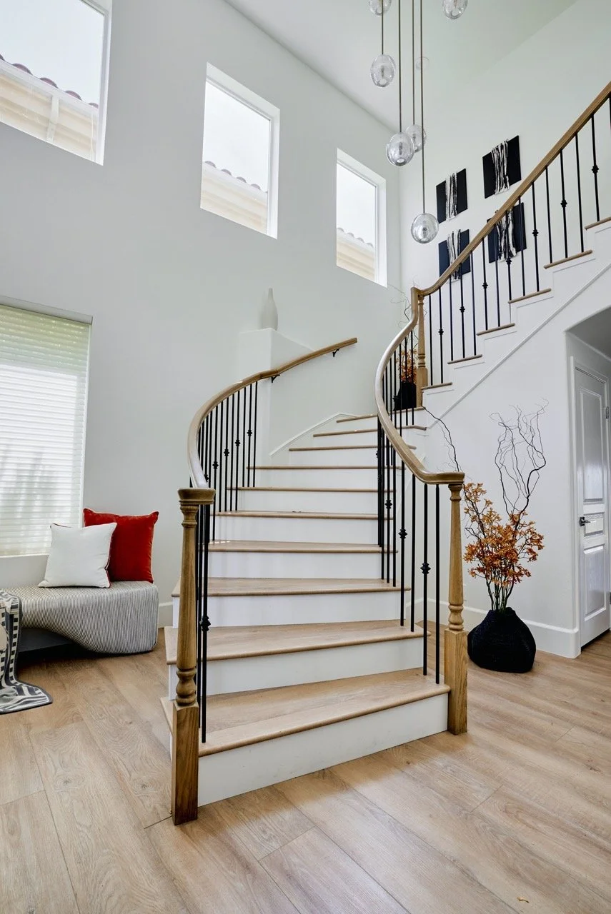 DSC09549 1 Large.jpeg