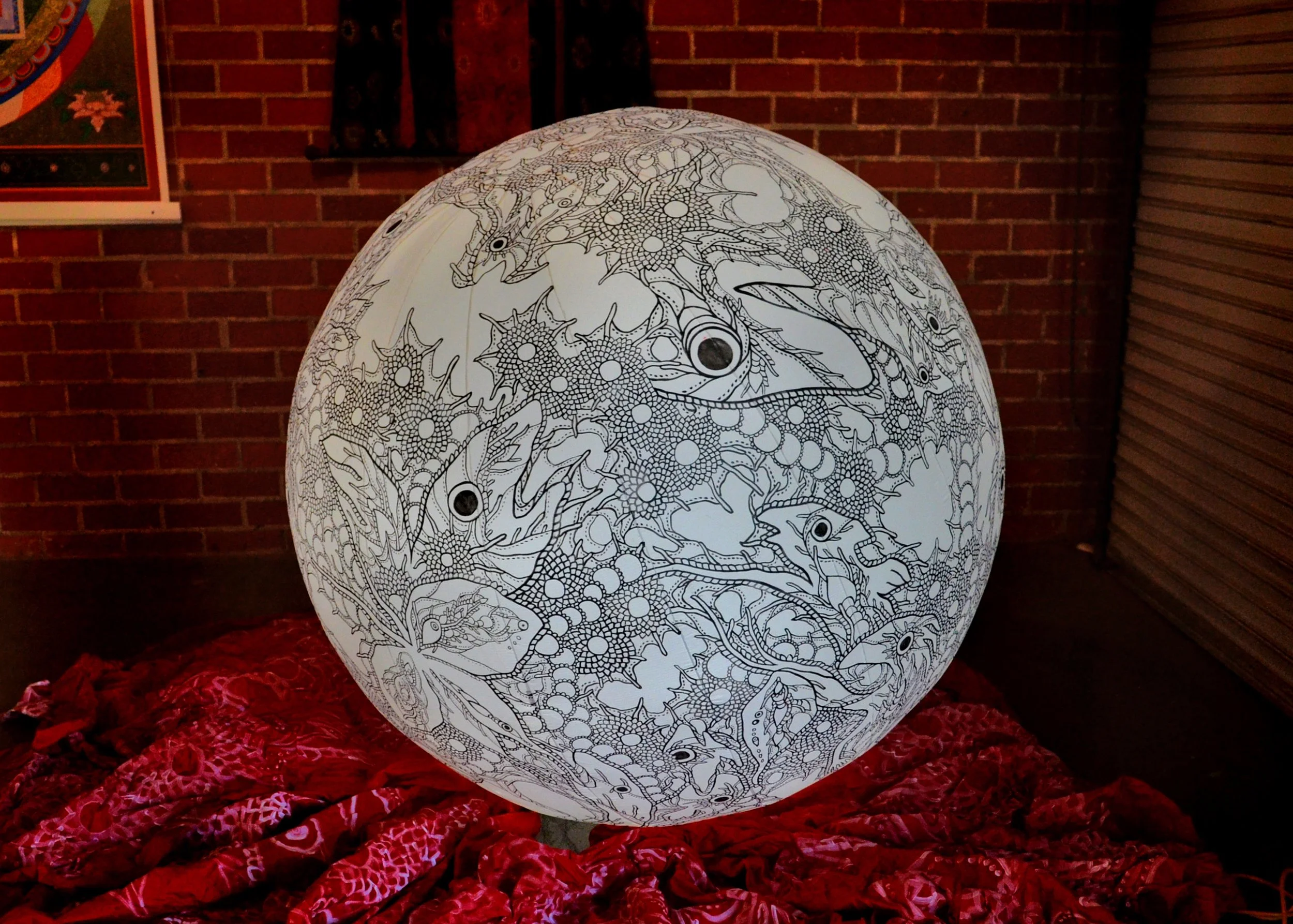 DSC_0211  jen copy.jpeg