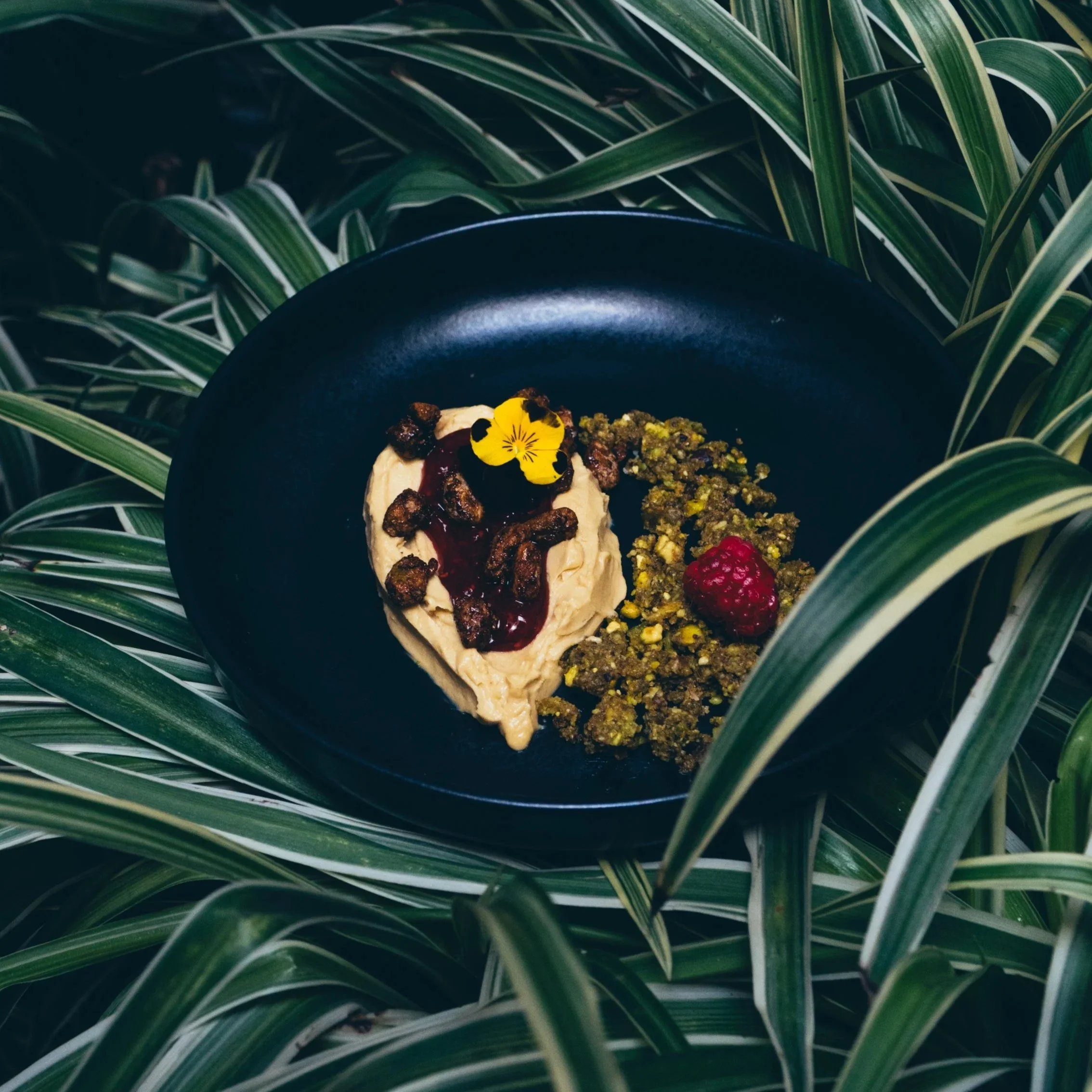 CREMA PISTACHO 10.jpg