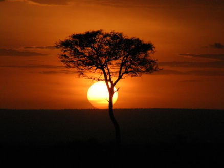 Screenshot 2025-11-18 at 10.15.10 AM.png