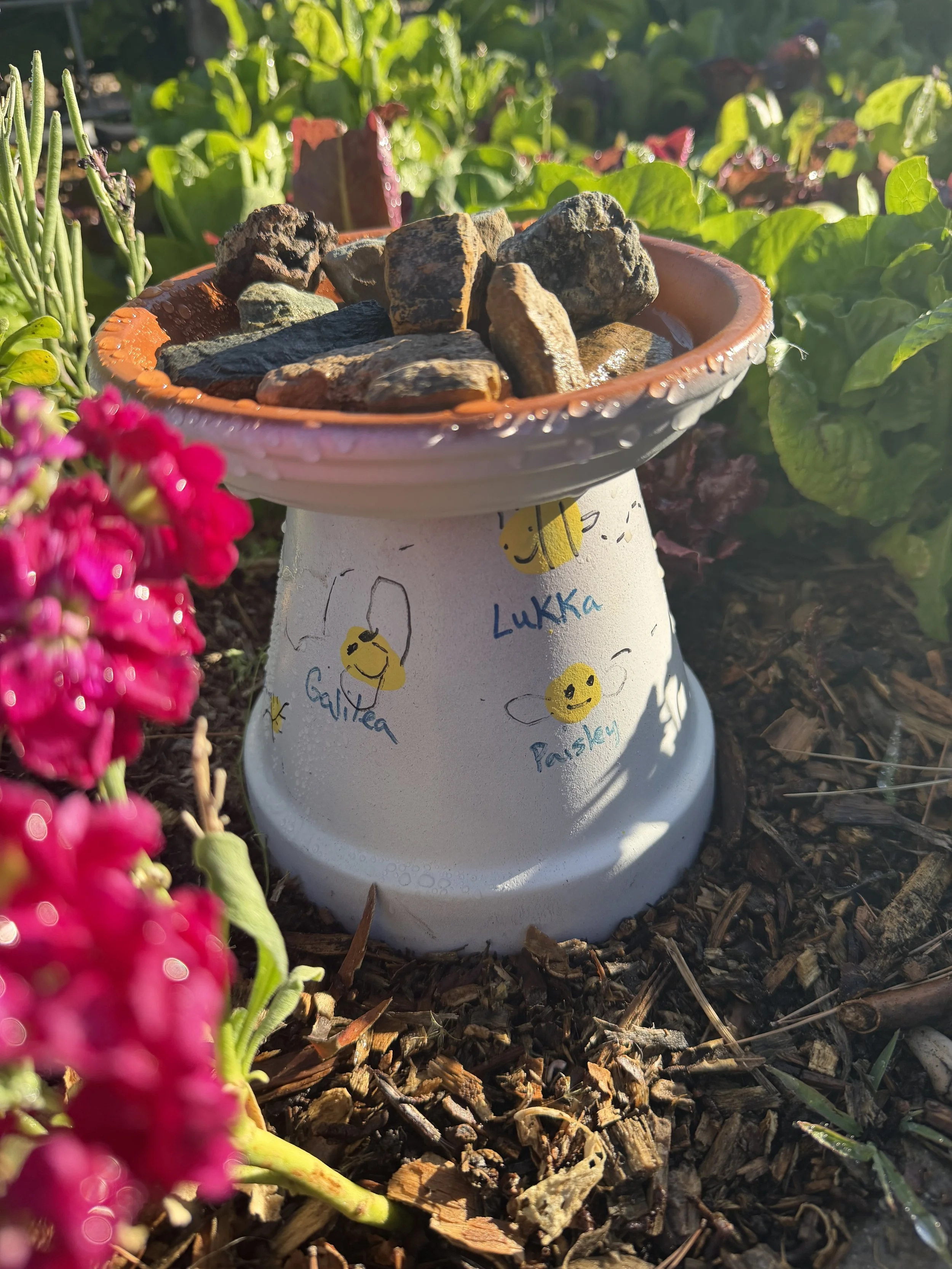 Pollinator Project