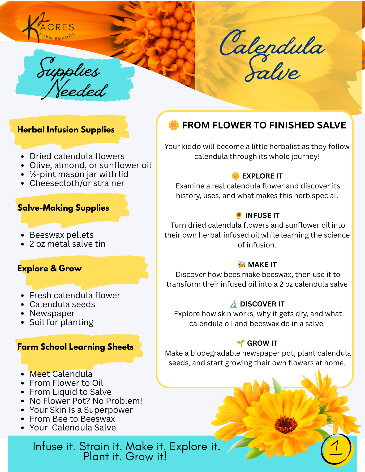 Calendula Salve | Farm School Printable Curriculum