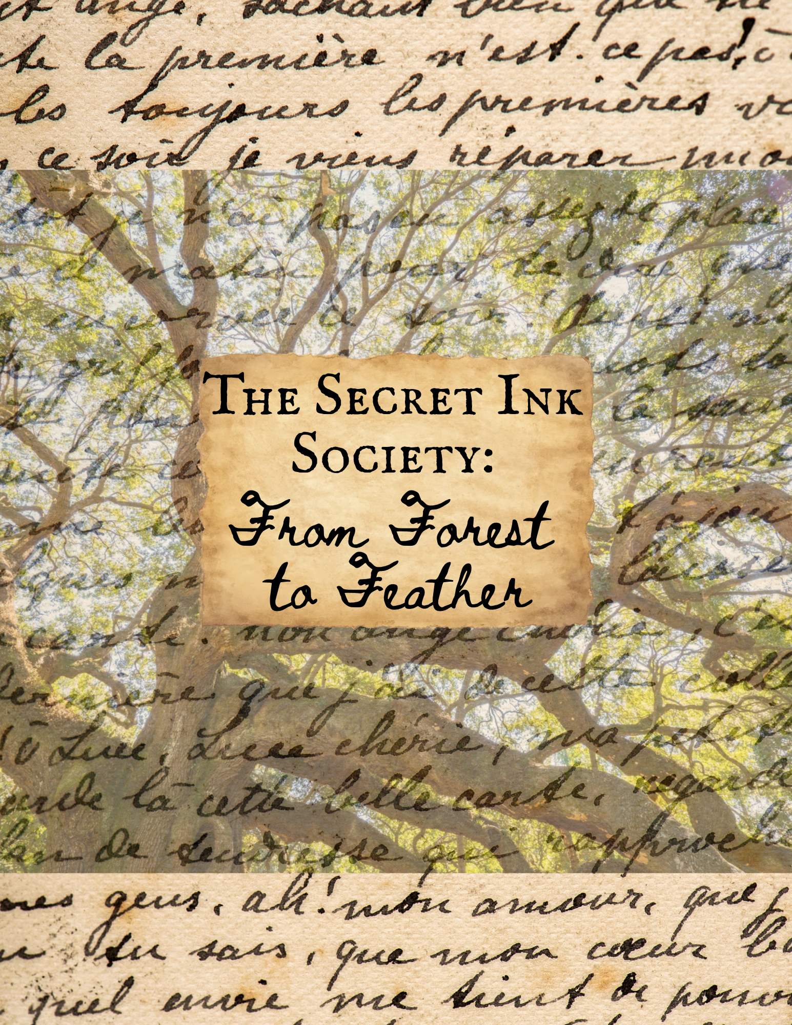 The Secret Ink Society: From Forest to Feather | Nov. 9th
