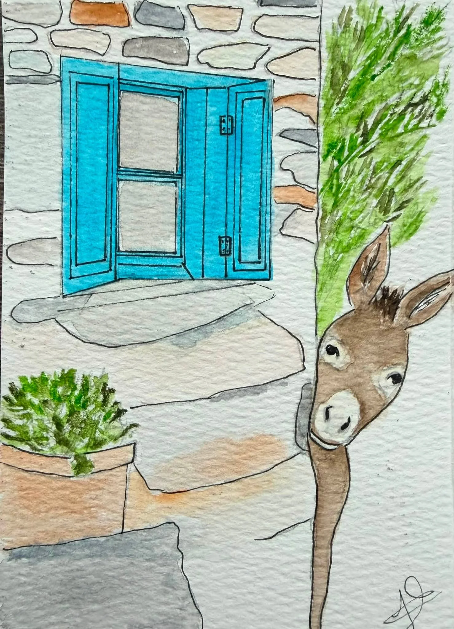 Donkey.jpg (Copy) (Copy) (Copy) (Copy)