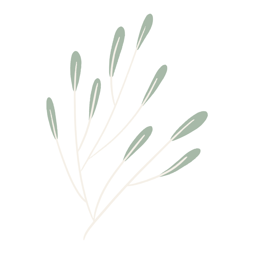 A minimalist illustration of a green leafy plant on a black background.