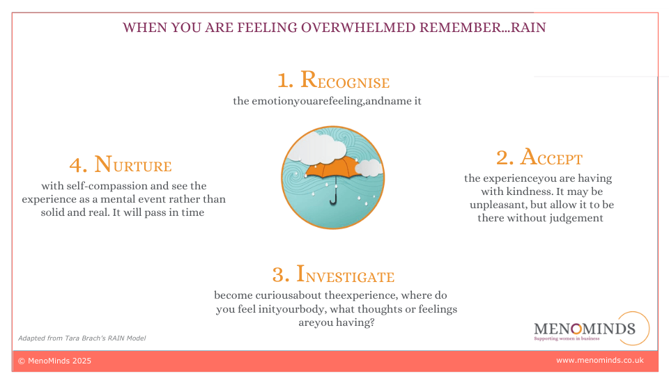 Remember Rain (Copy)