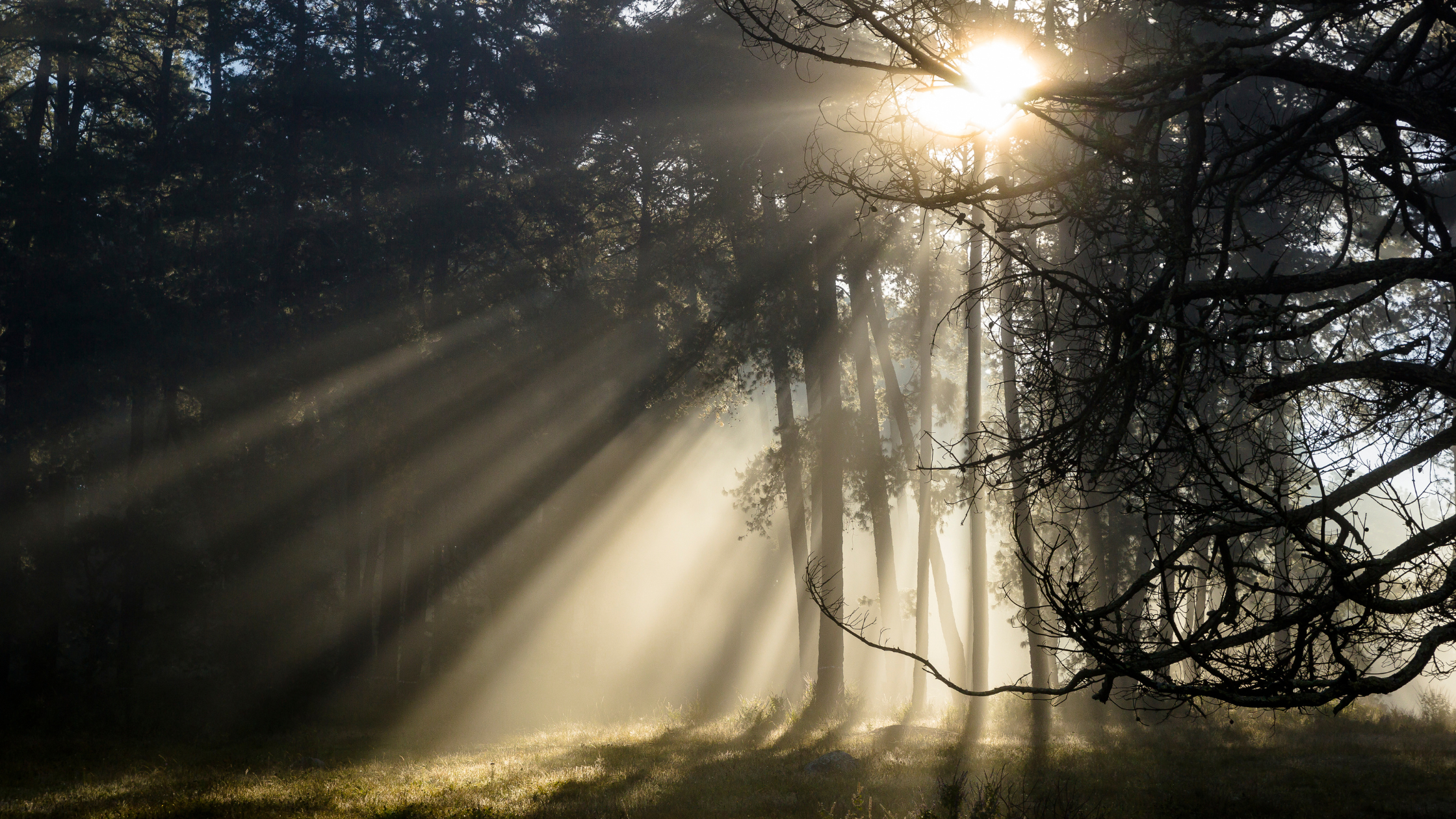 navigating menopause at work