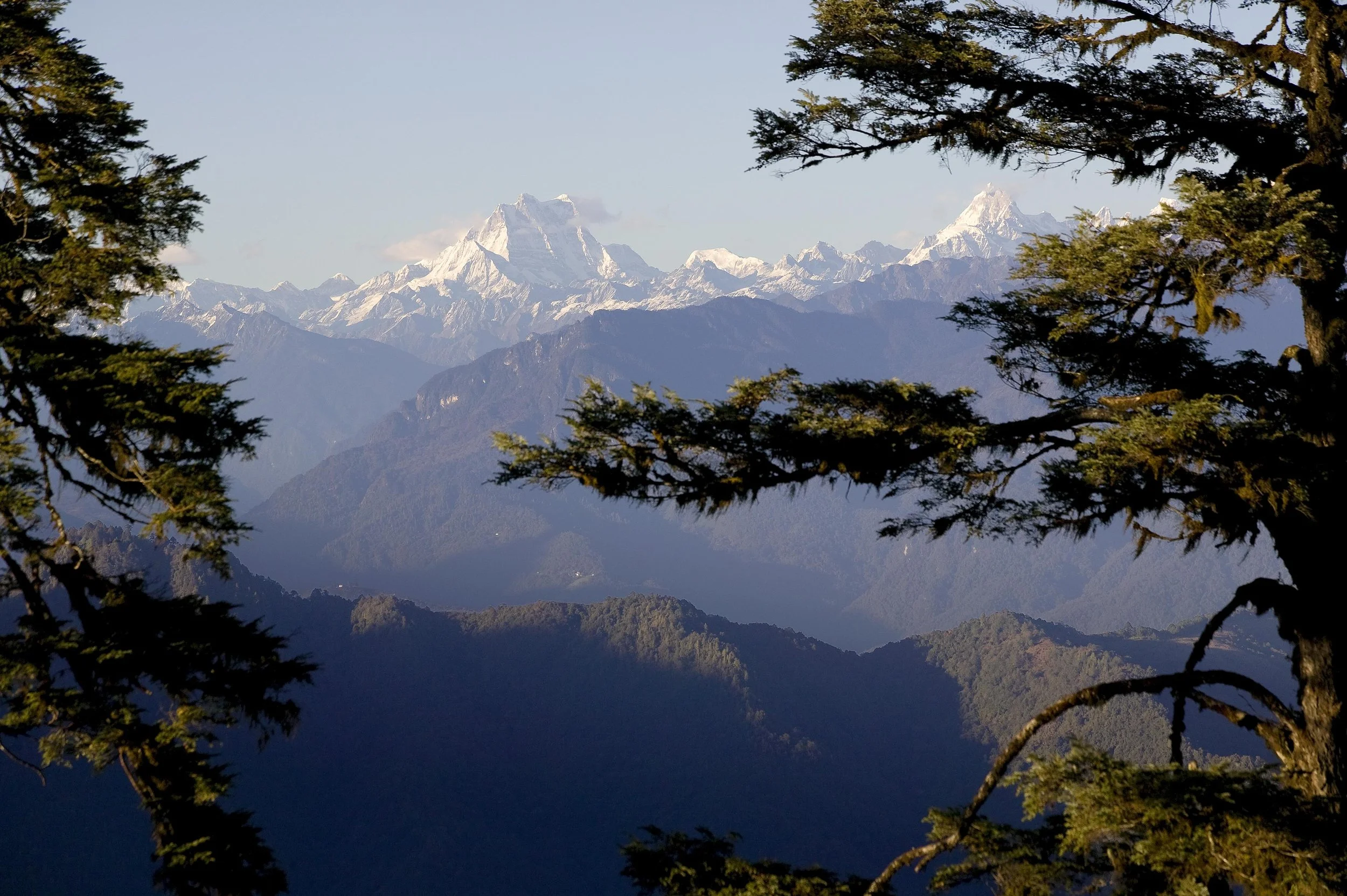Snow-capped mountains in the distance viewed through dark green trees in the foreground.
