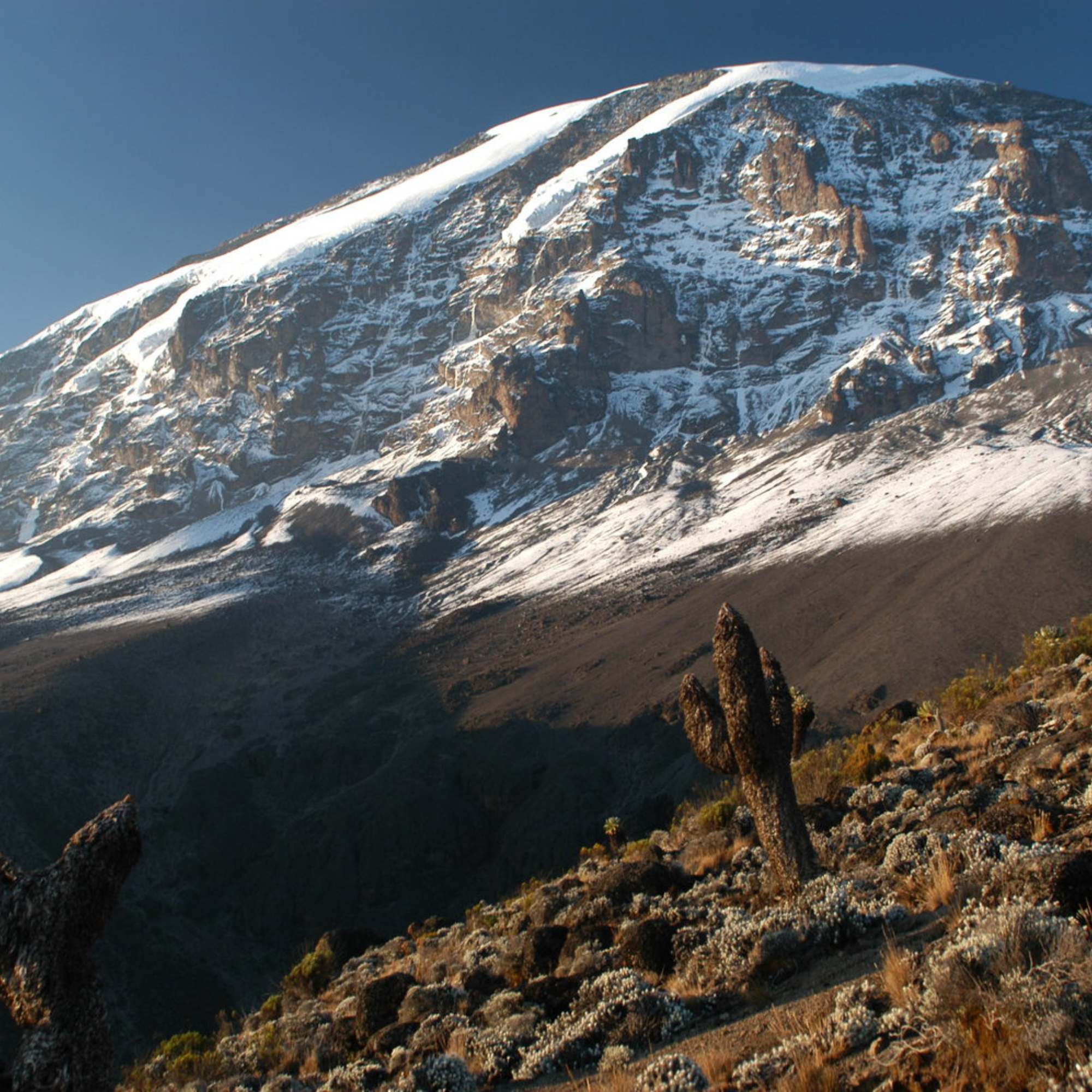 Snow-capped mountain towering over desert landscape with cacti and sparse vegetation.