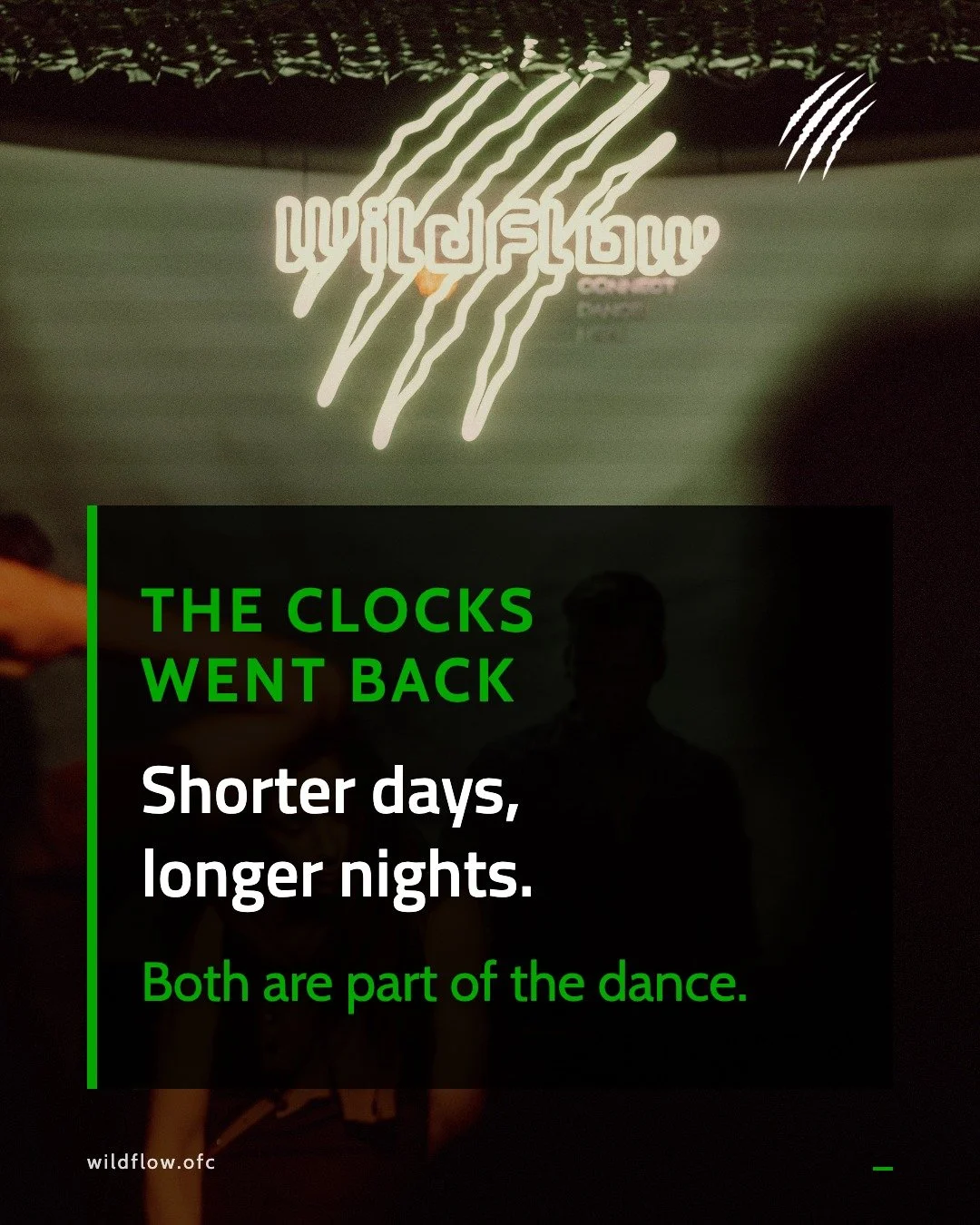 The clocks went back last night. Shorter days, longer nights.

Nature does this every year without asking our opinion. The light pulls back, the dark gets more room, and in spring it turns around again.

At Wildflow we start in daylight and dance int