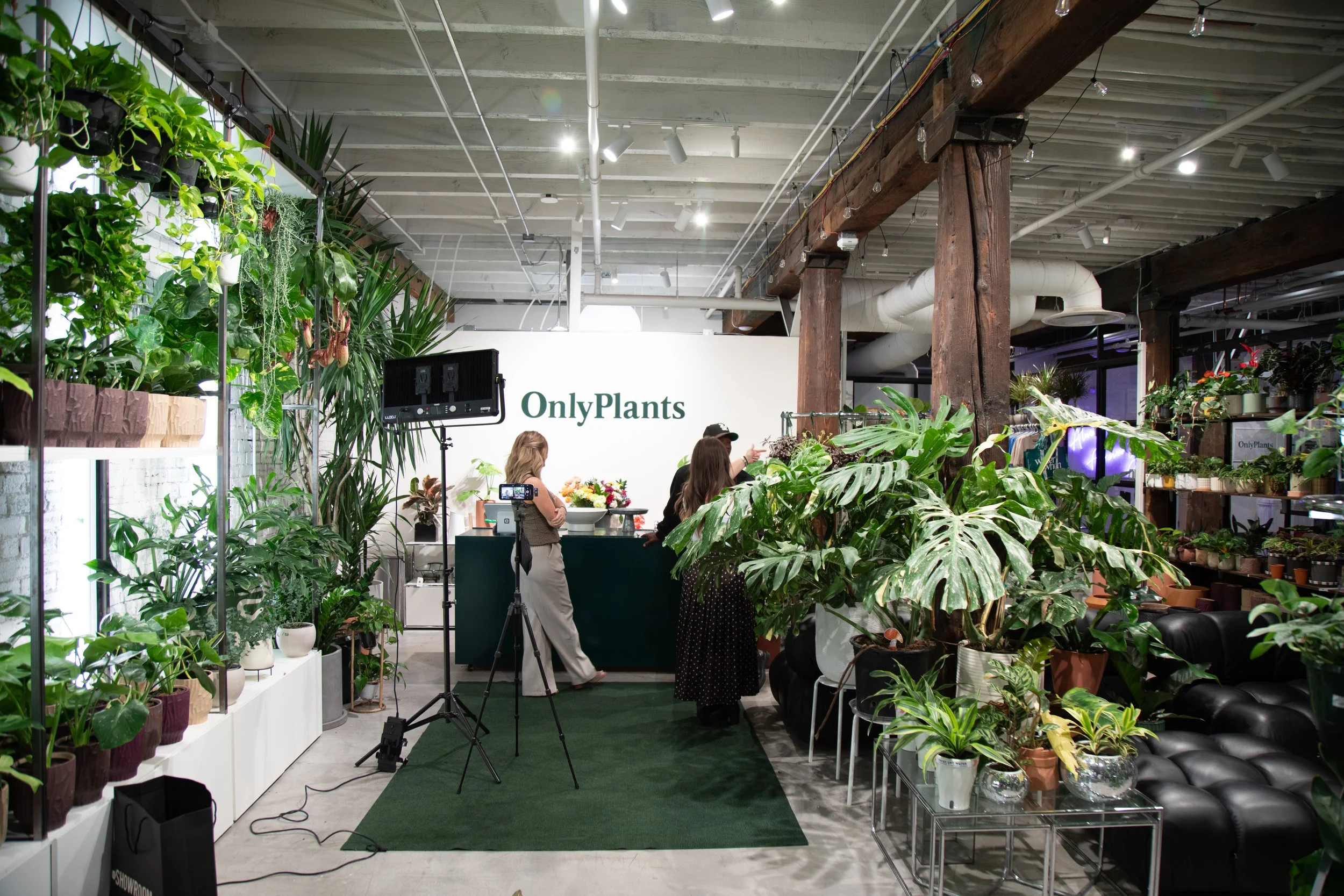 OnlyPlantsStills01.jpg