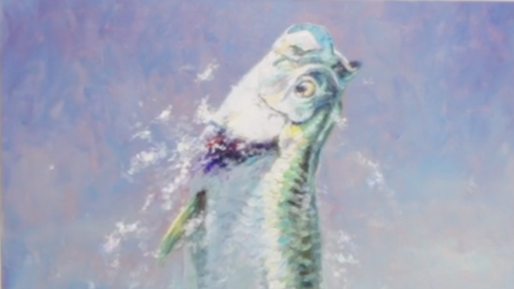 JARED KNOX ART REEL - TARPON.