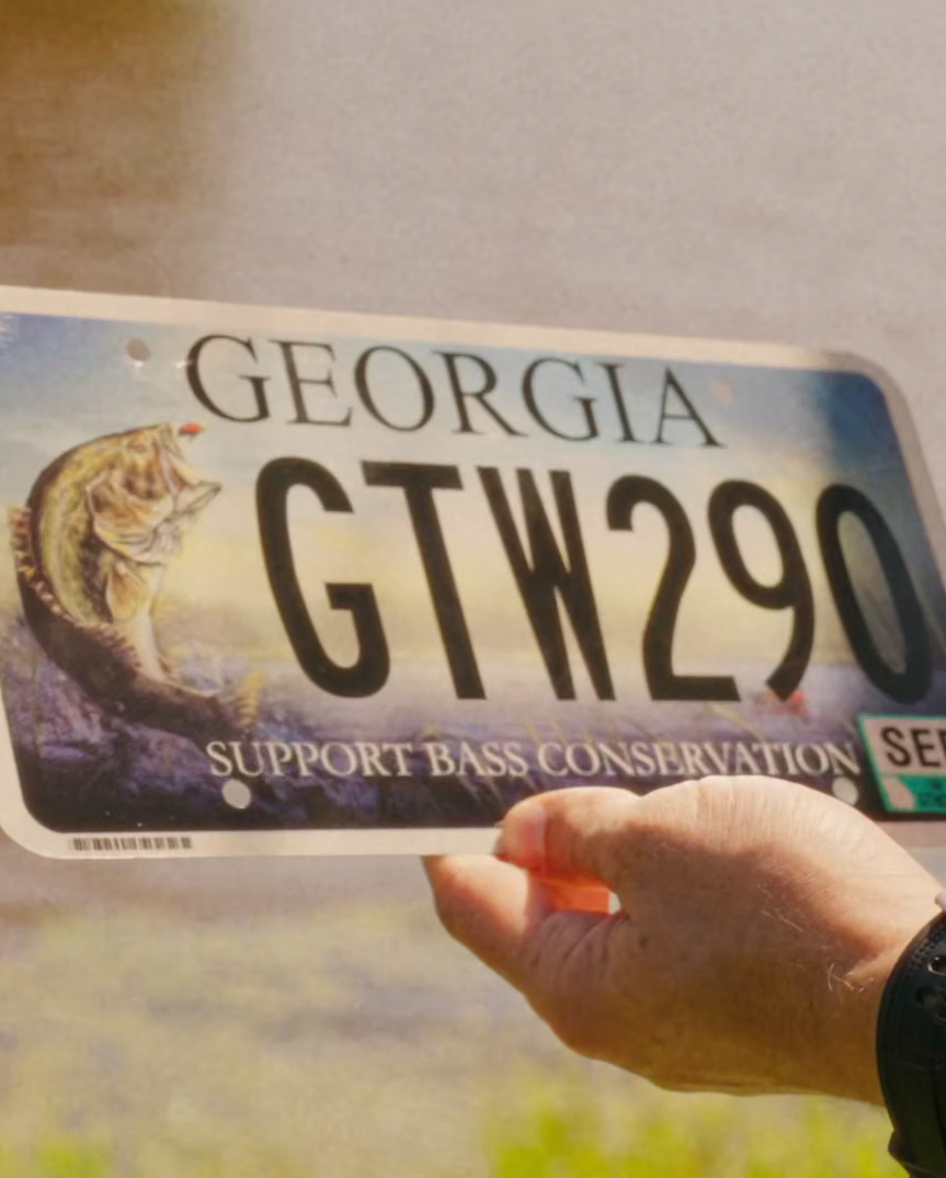 JARED KNOX ART - GEORGIA LICENSE PLATE.