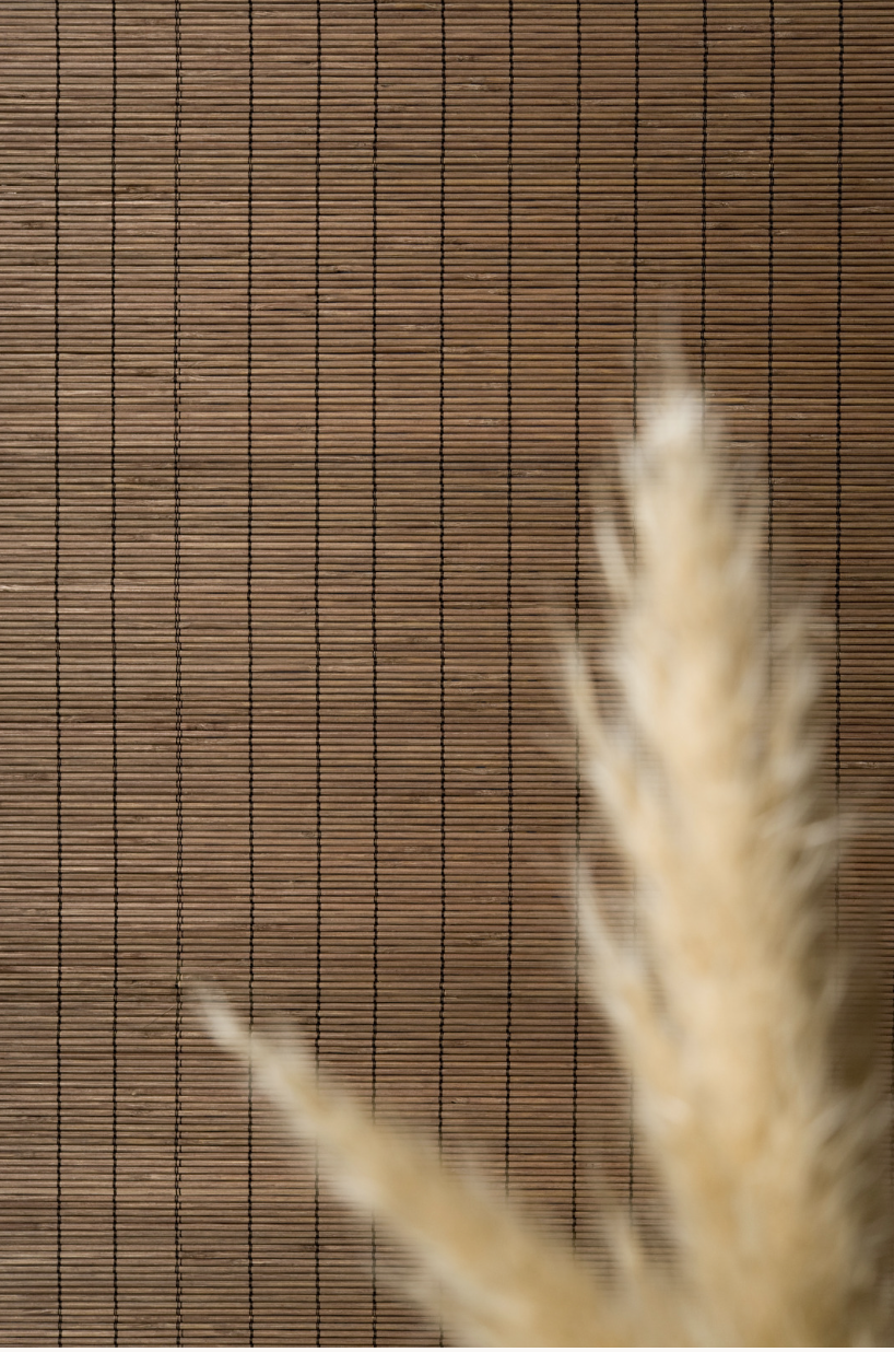 Let’s Get Personal: Healing & Self-Reclamation Coaching