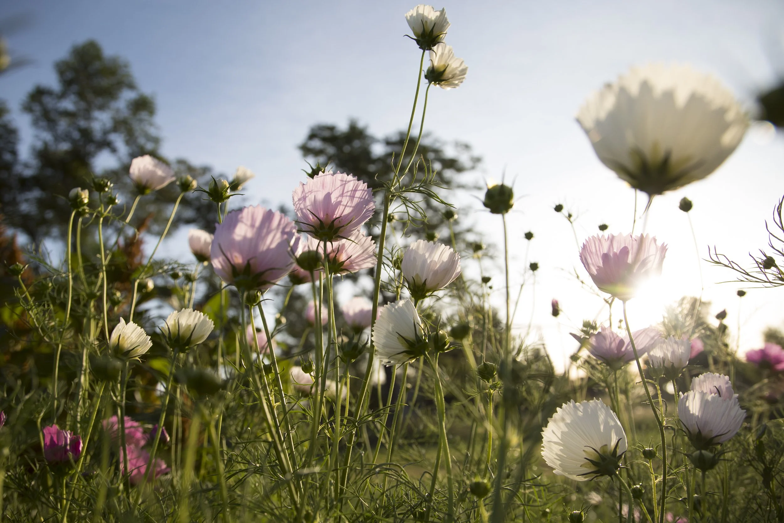 dustin (95 of 212) 2.jpg