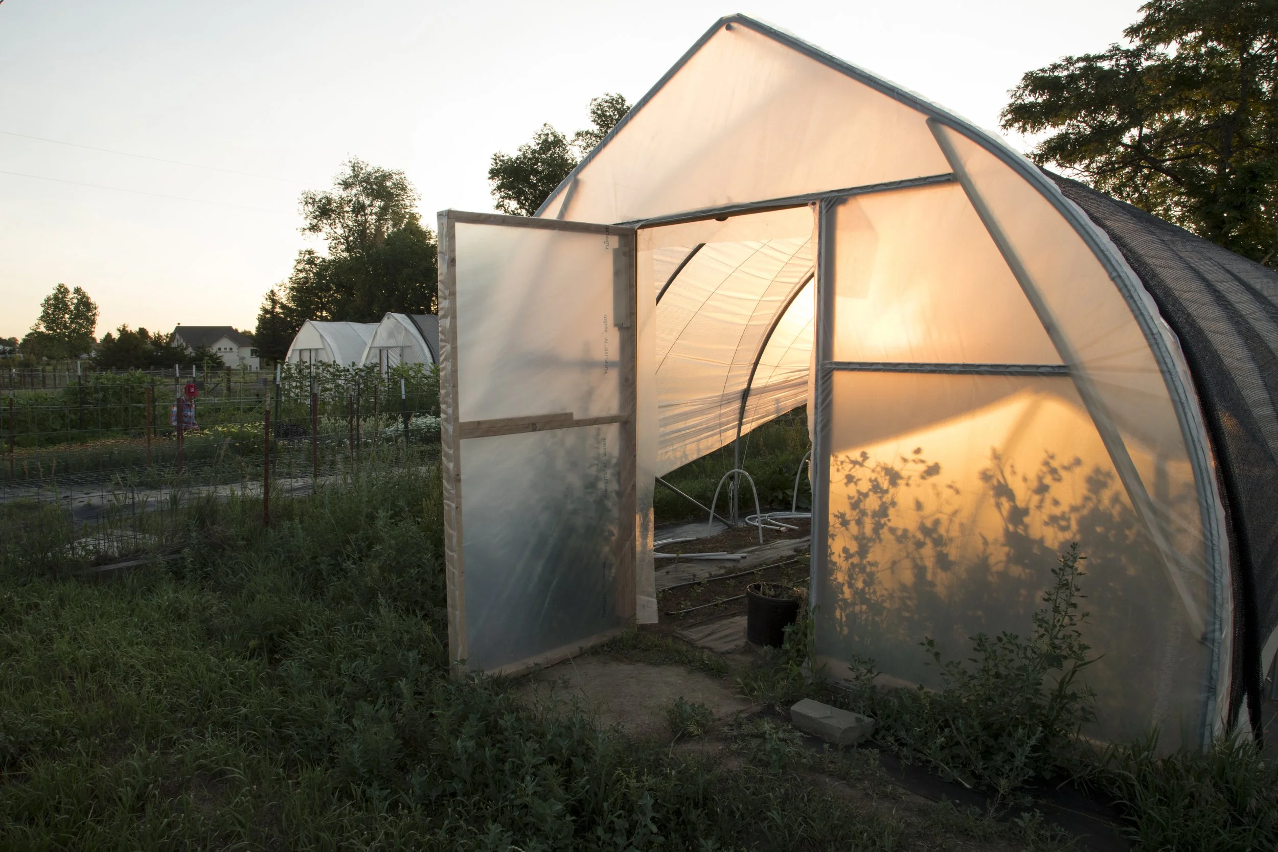 dustin (60 of 212).jpg