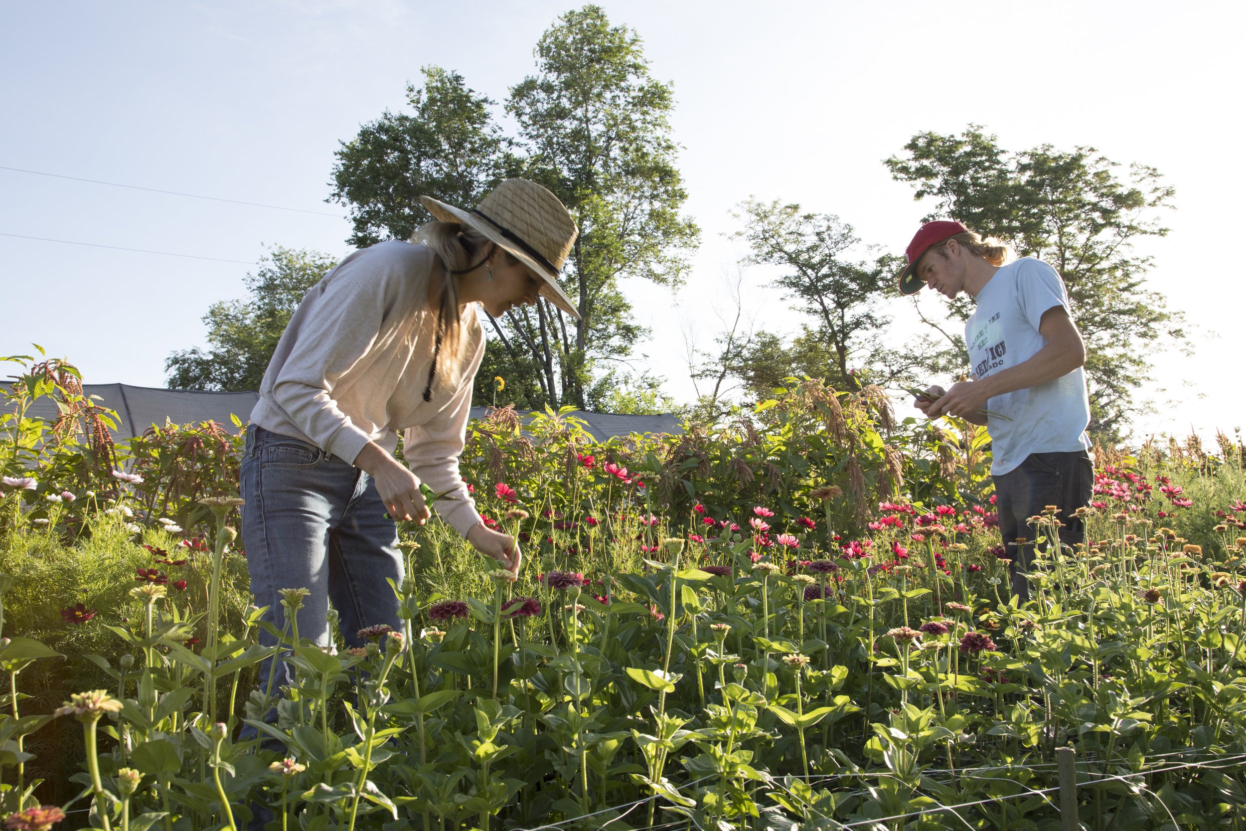 dustin (110 of 212).jpg