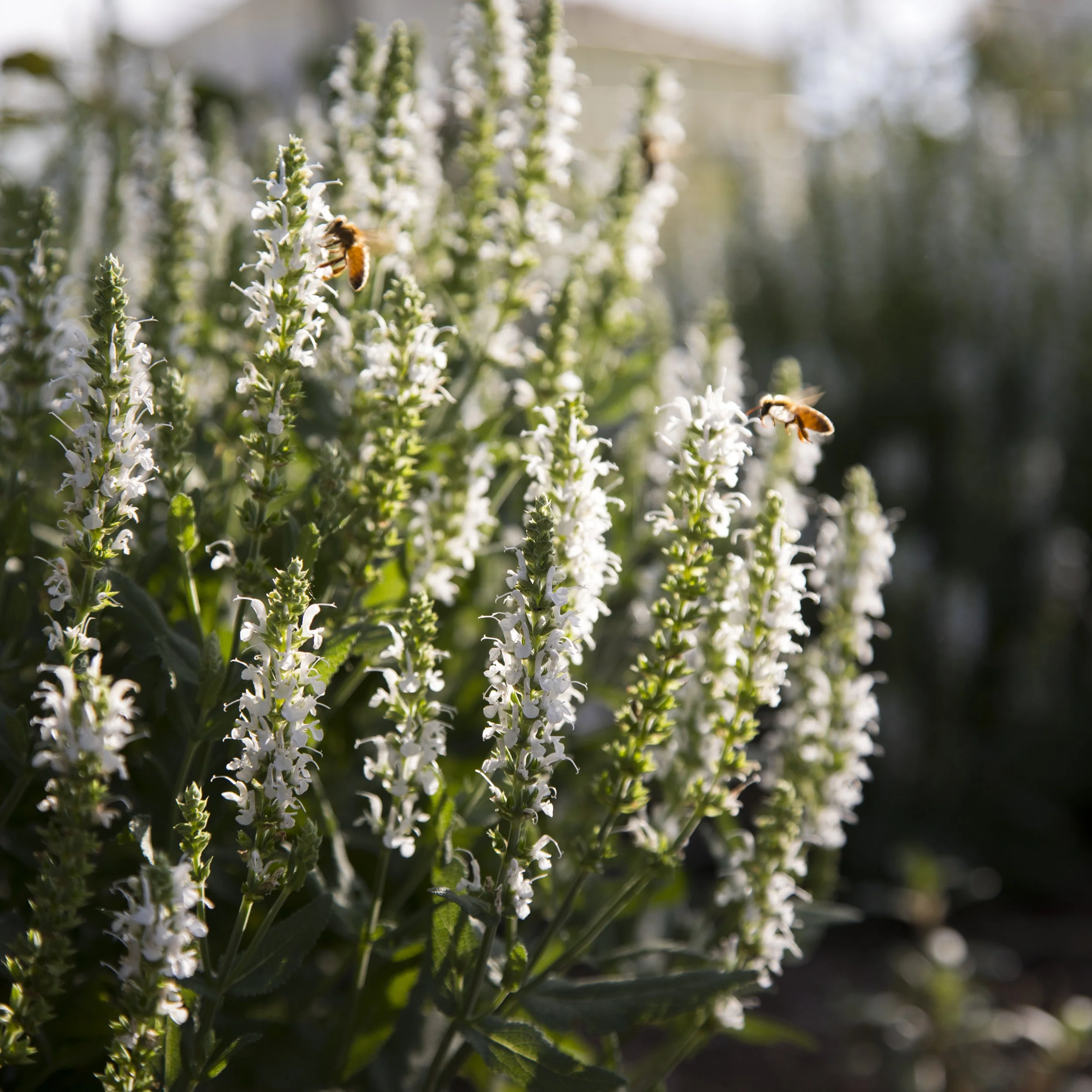 dustin (133 of 212).jpg