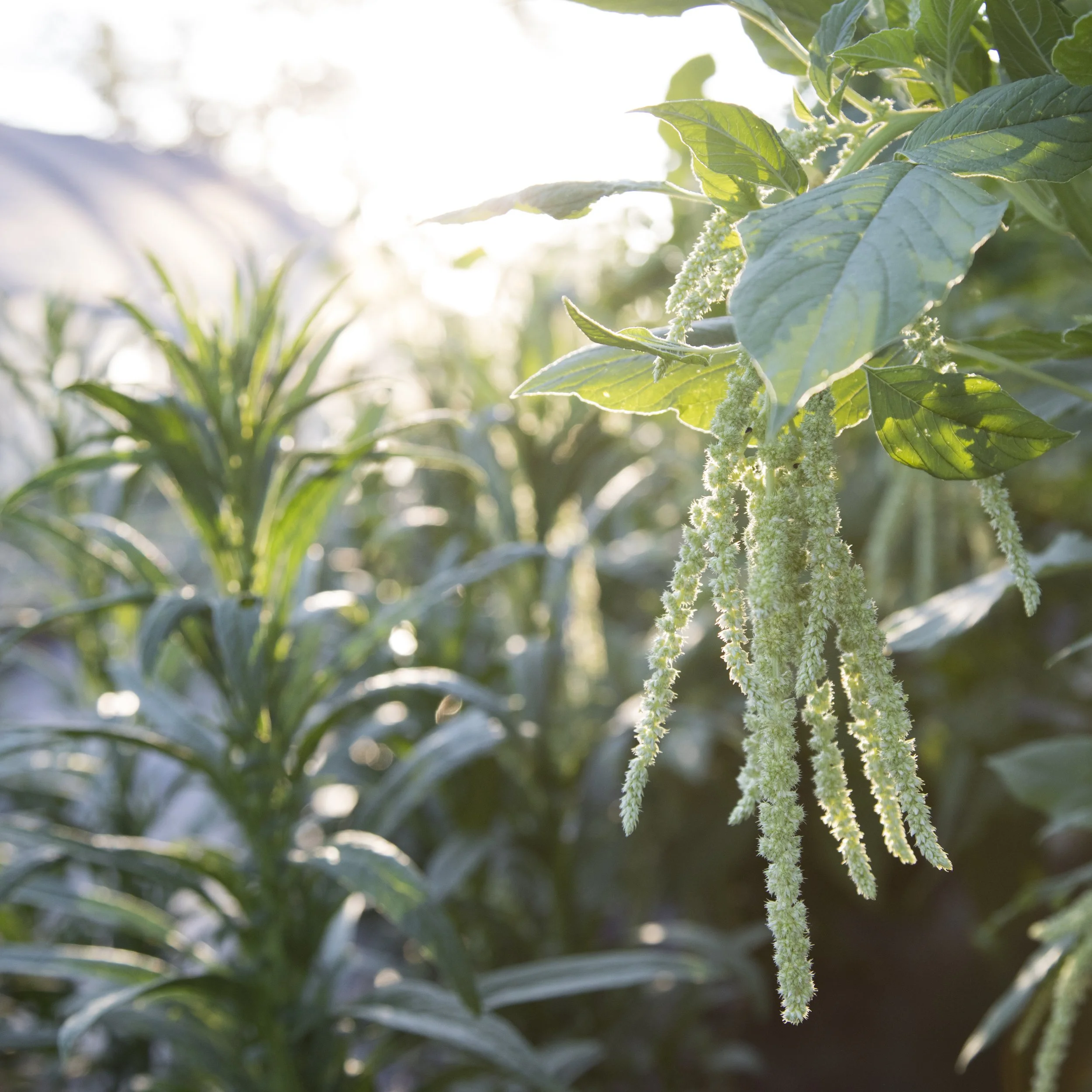 dustin (184 of 212).jpg