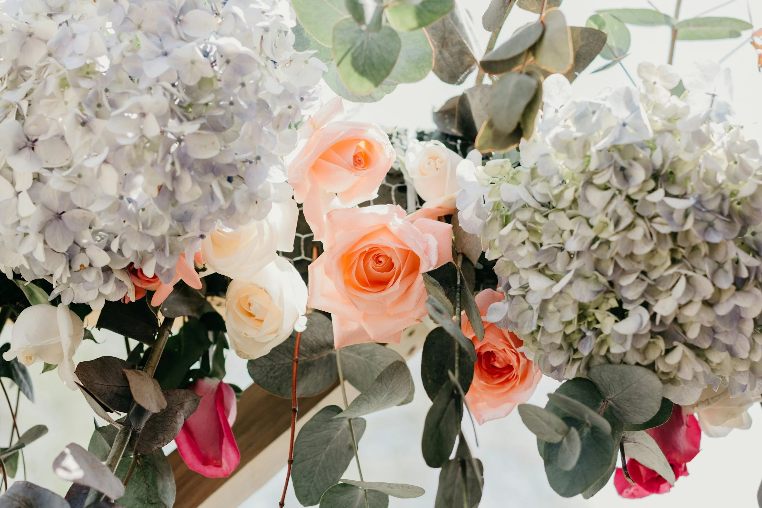 Close-up of a floral arrangement featuring white hydrangeas, peach roses, and dark green eucalyptus leaves.