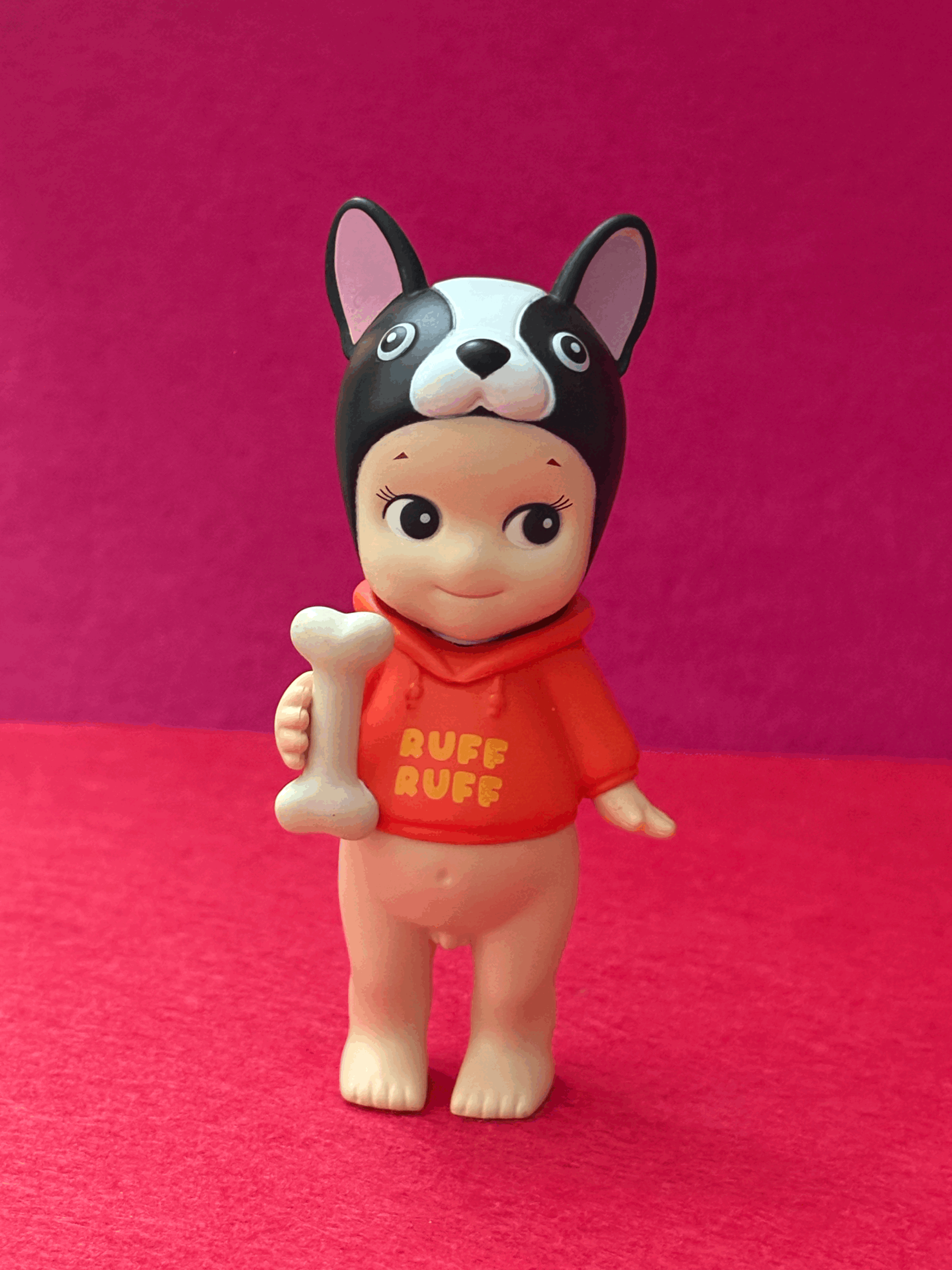 Dog Time Series French Bulldog