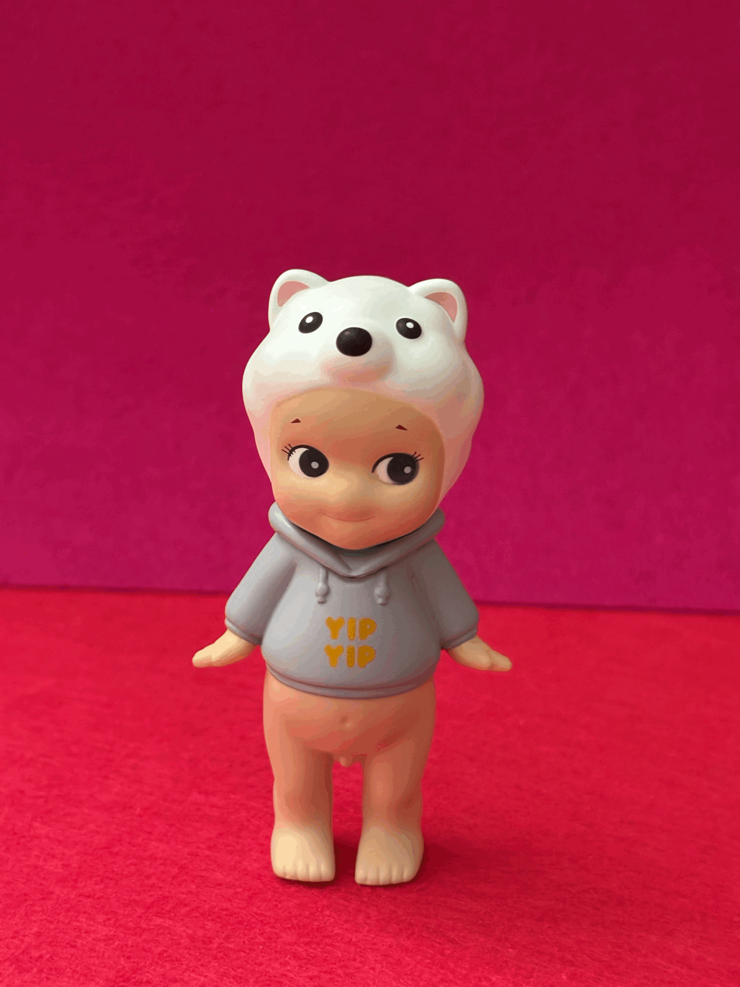 Dog Time Series Pomeranian