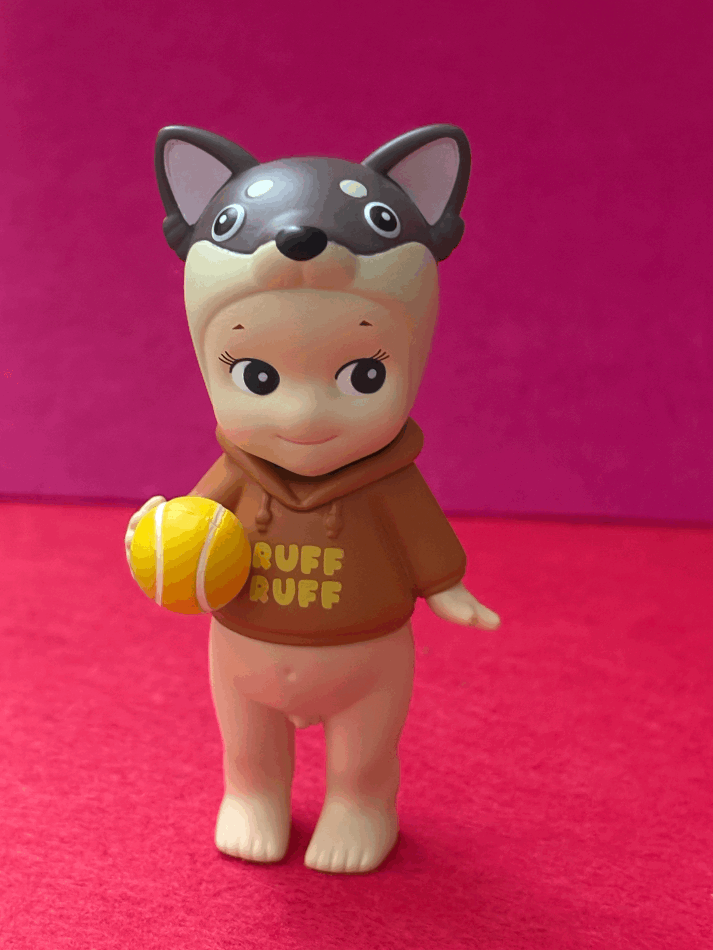 Dog Time Series Chihuahua