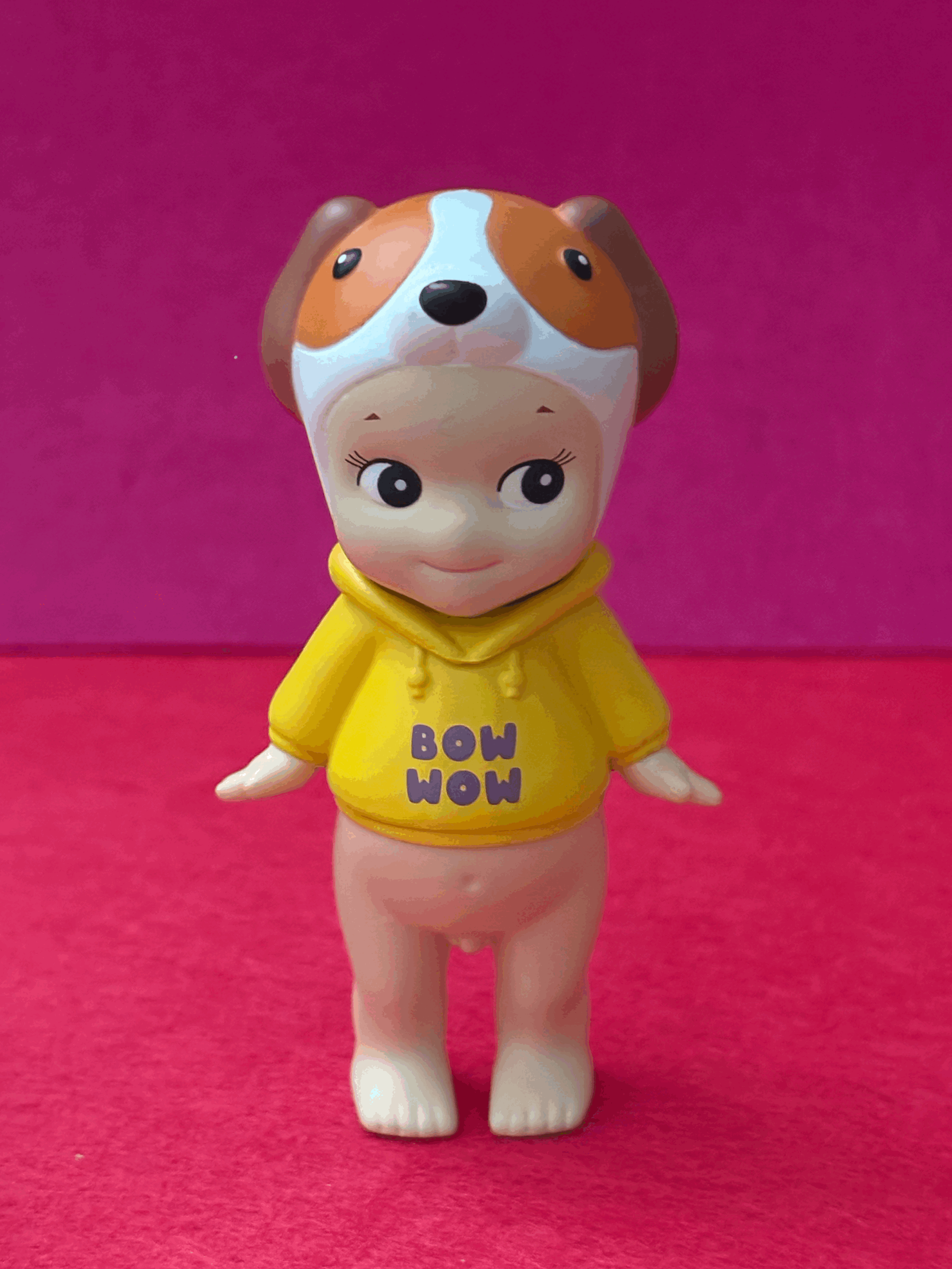 Dog Time Series Beagle